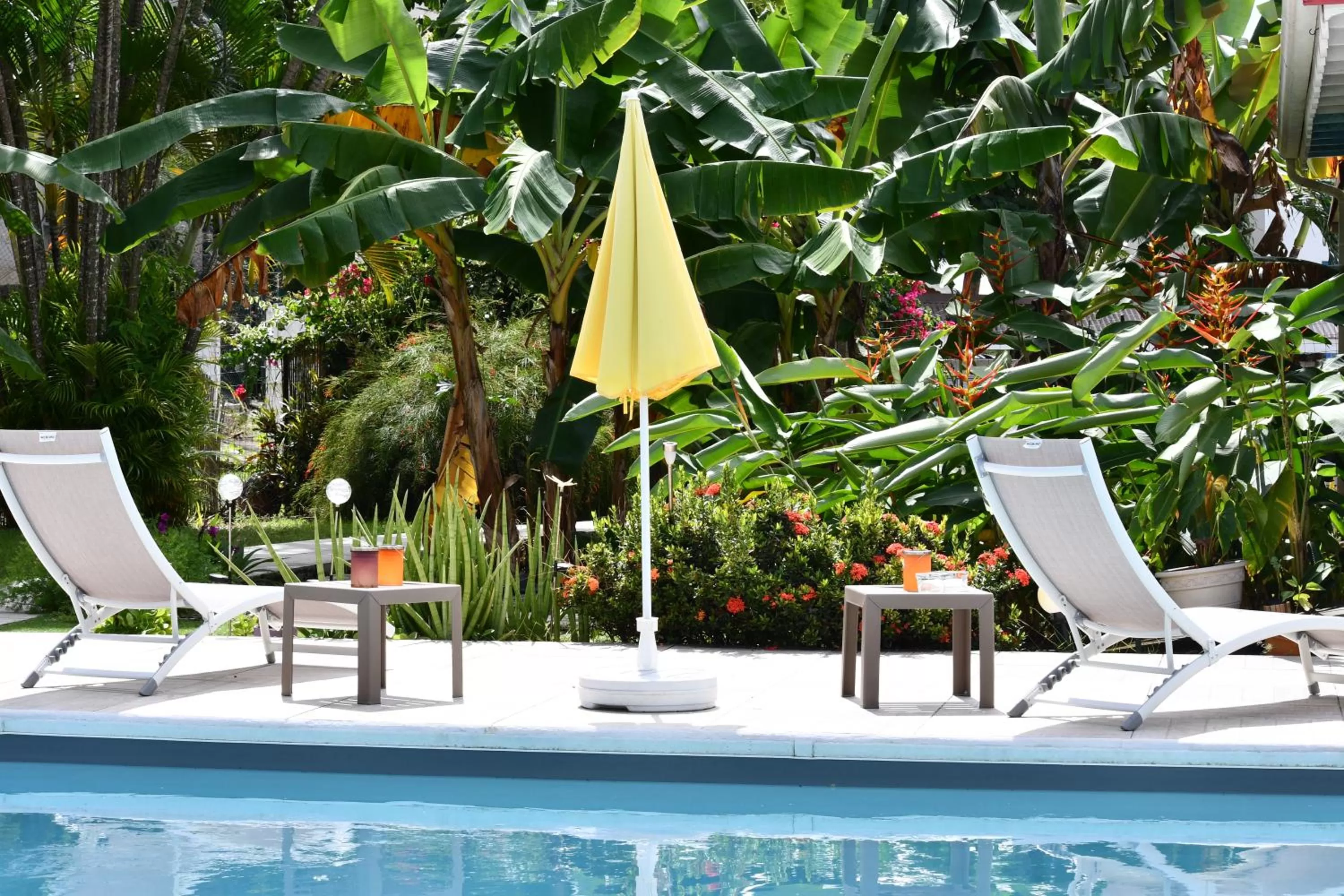 Garden in Hôtel Les Bananiers