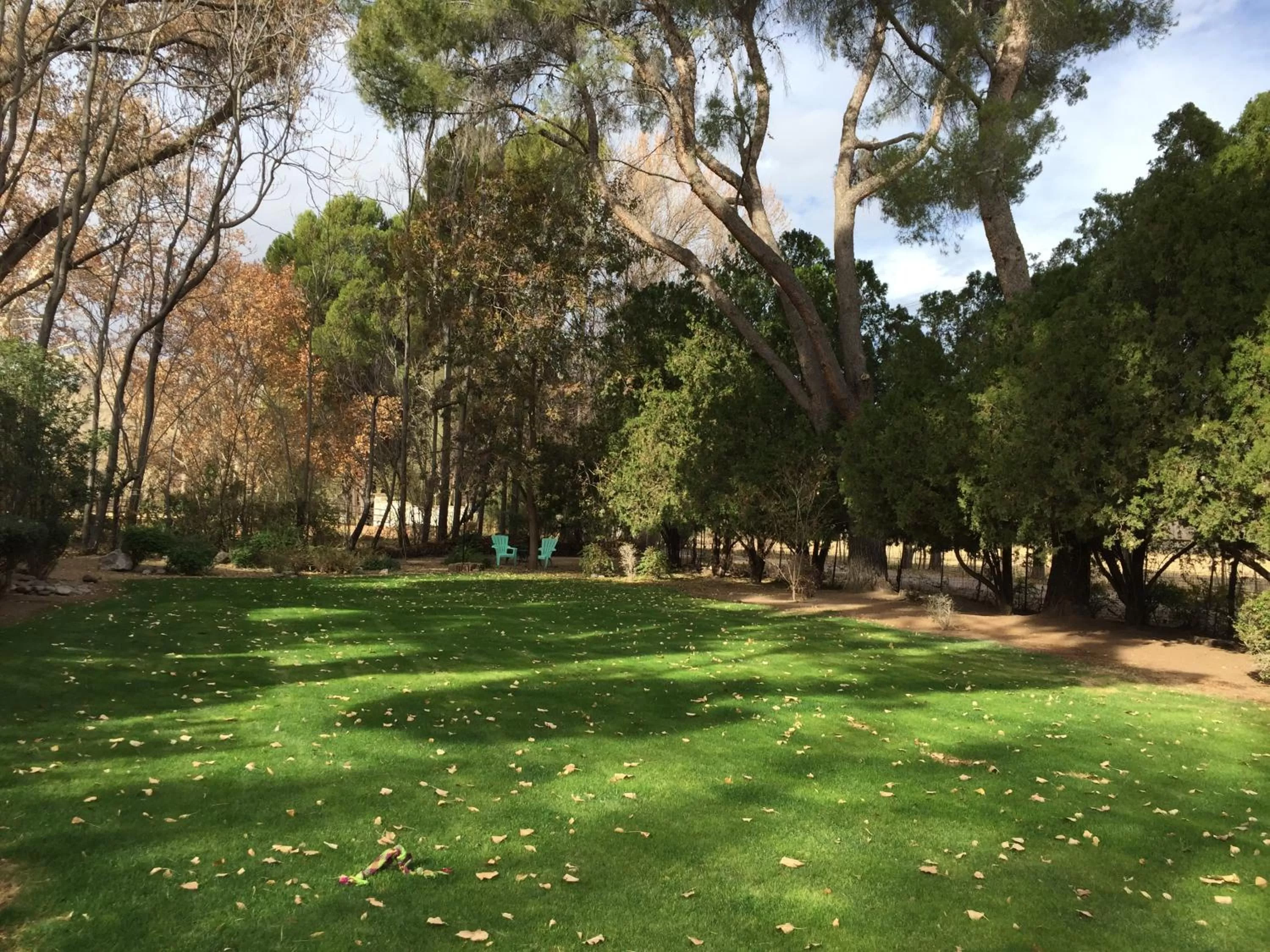 View (from property/room), Garden in Casa Paloma B&B