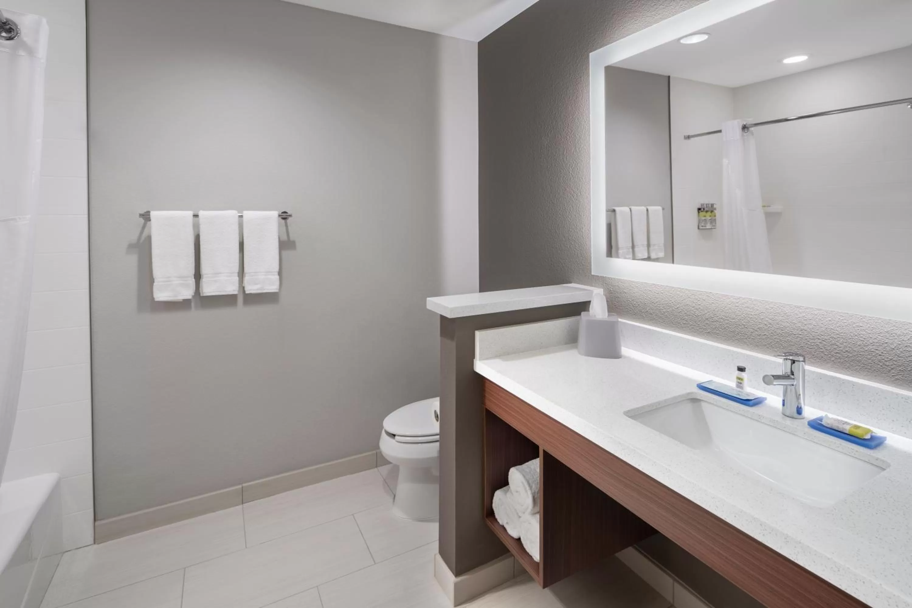 Bathroom in Holiday Inn Express & Suites - Odessa I-20 by IHG