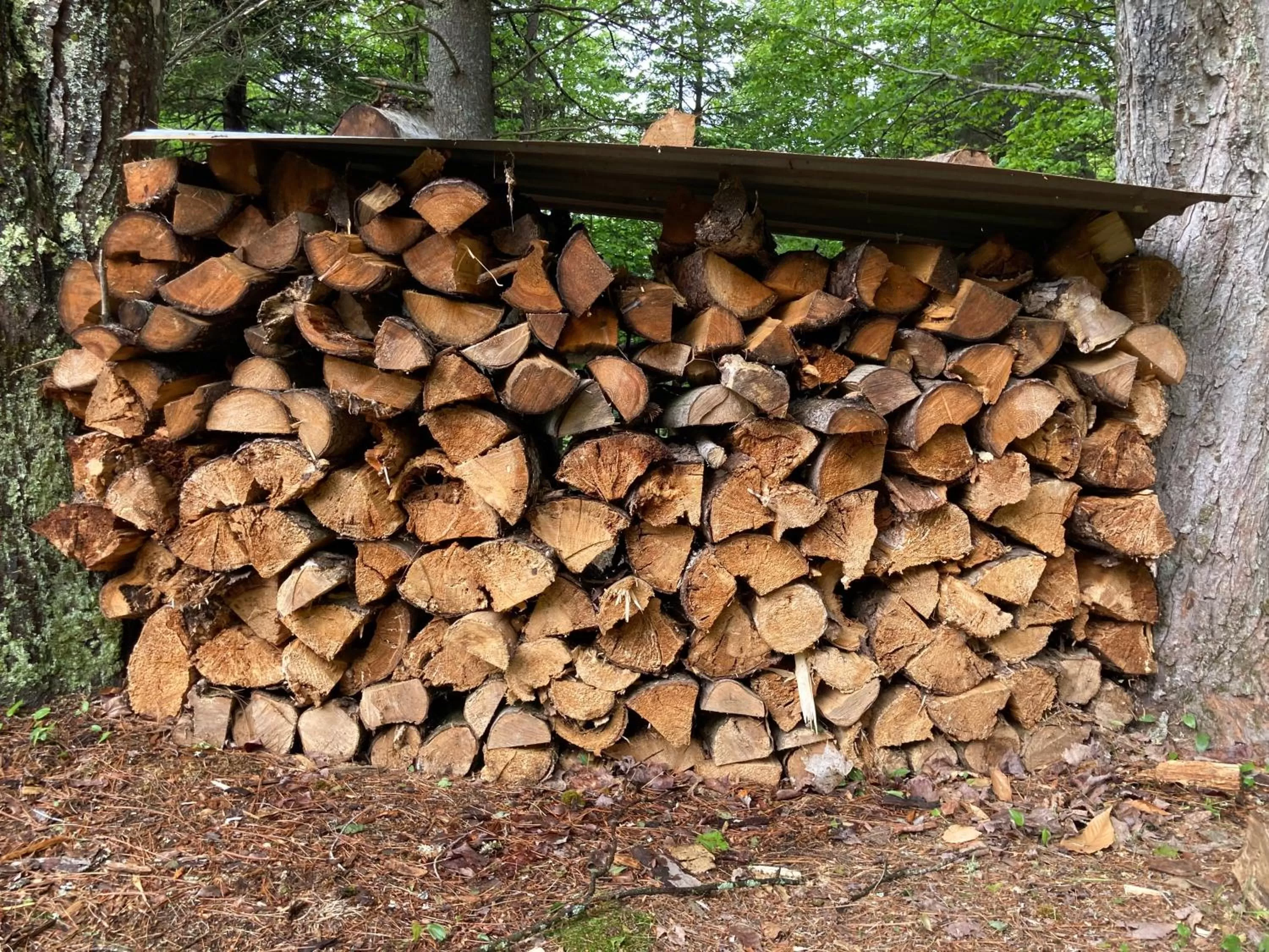 BBQ facilities in The Lorca Adirondacks Motel