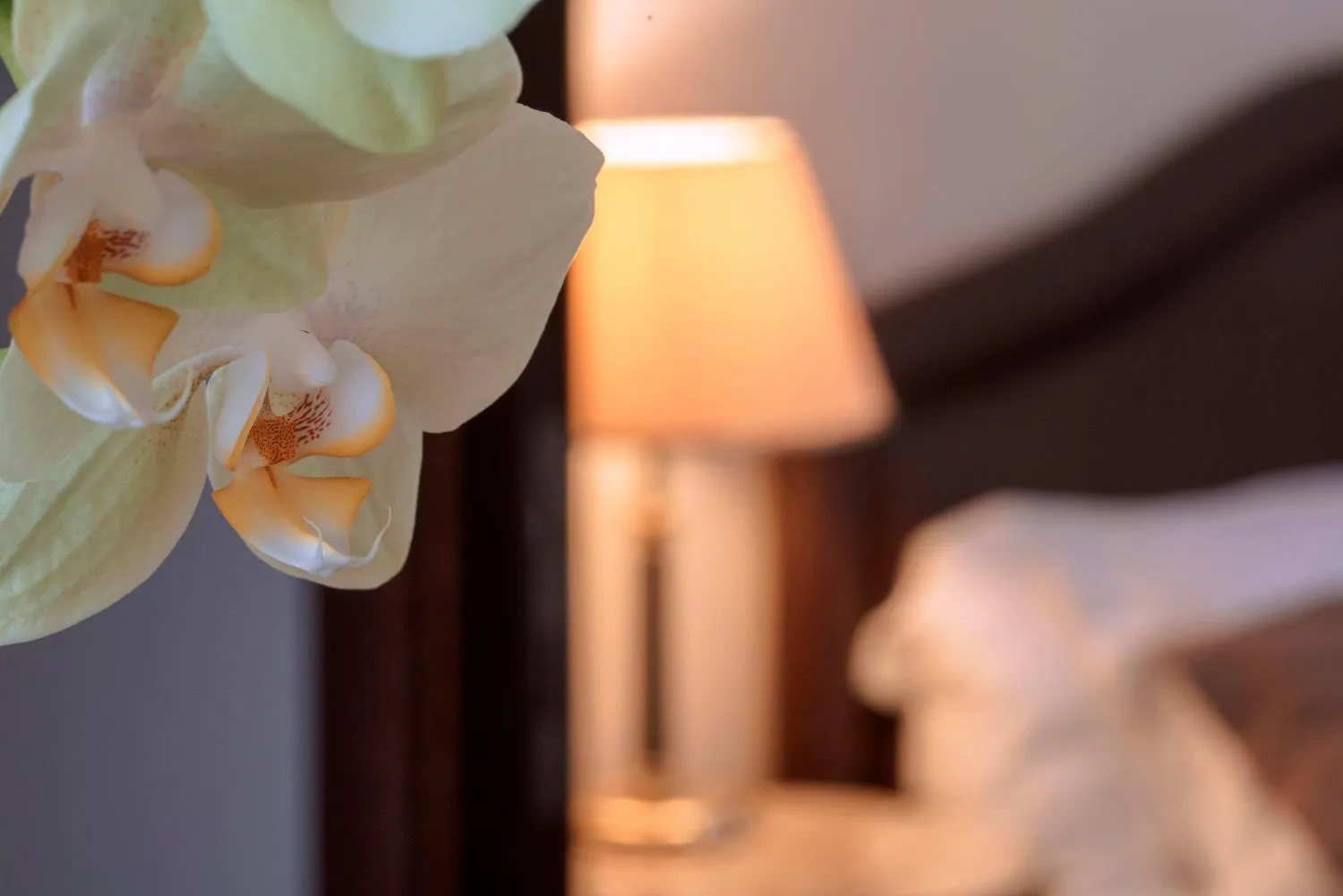 Decorative detail, Bed in Hotel Cala Del Porto
