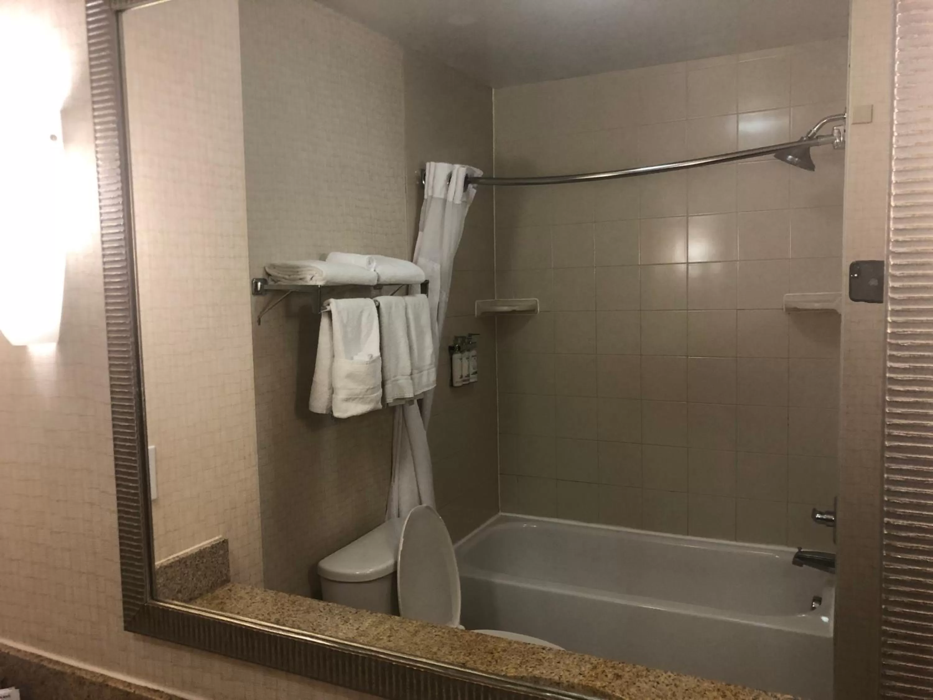 Shower in Holiday Inn Express Hotel & Suites Lansing-Dimondale by IHG