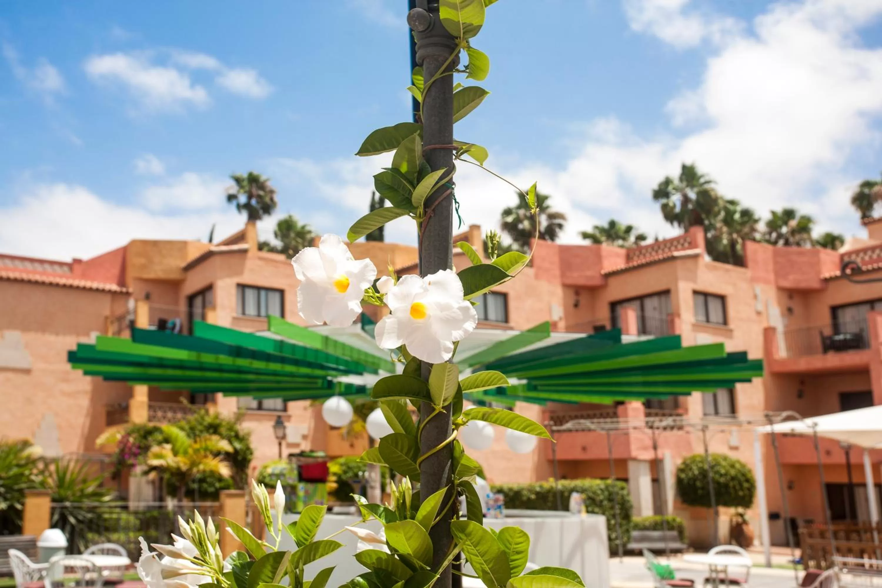 Decorative detail in Villa Mandi Golf Resort