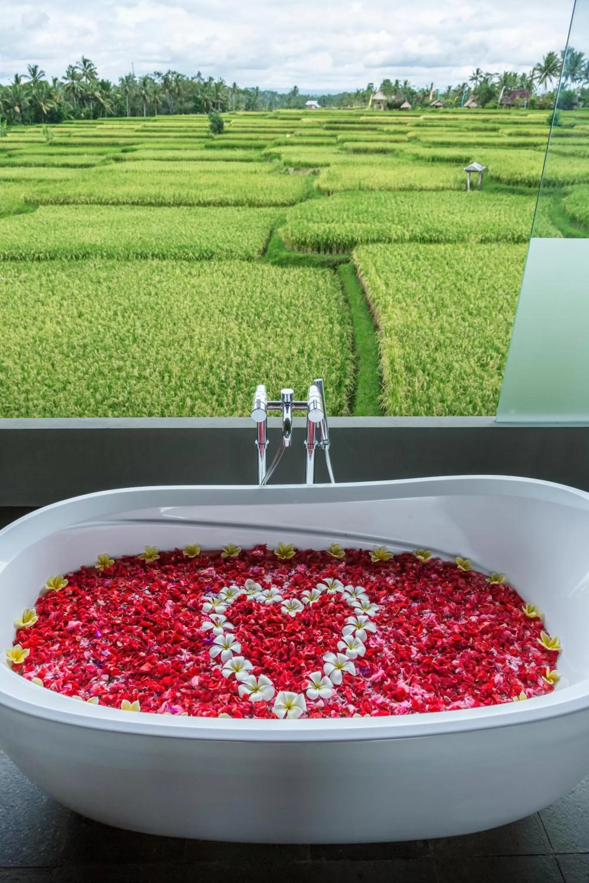 Spa and wellness centre/facilities in Manyi Village Ubud