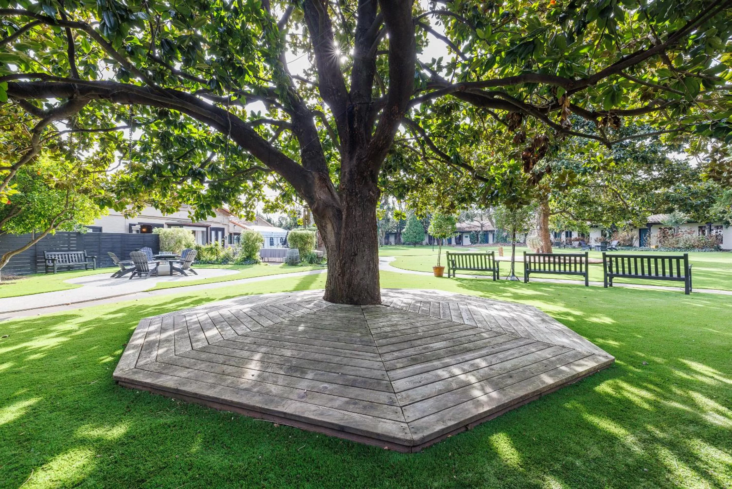 Natural landscape in Inn Marin and Suites, an Ascend Collection Hotel