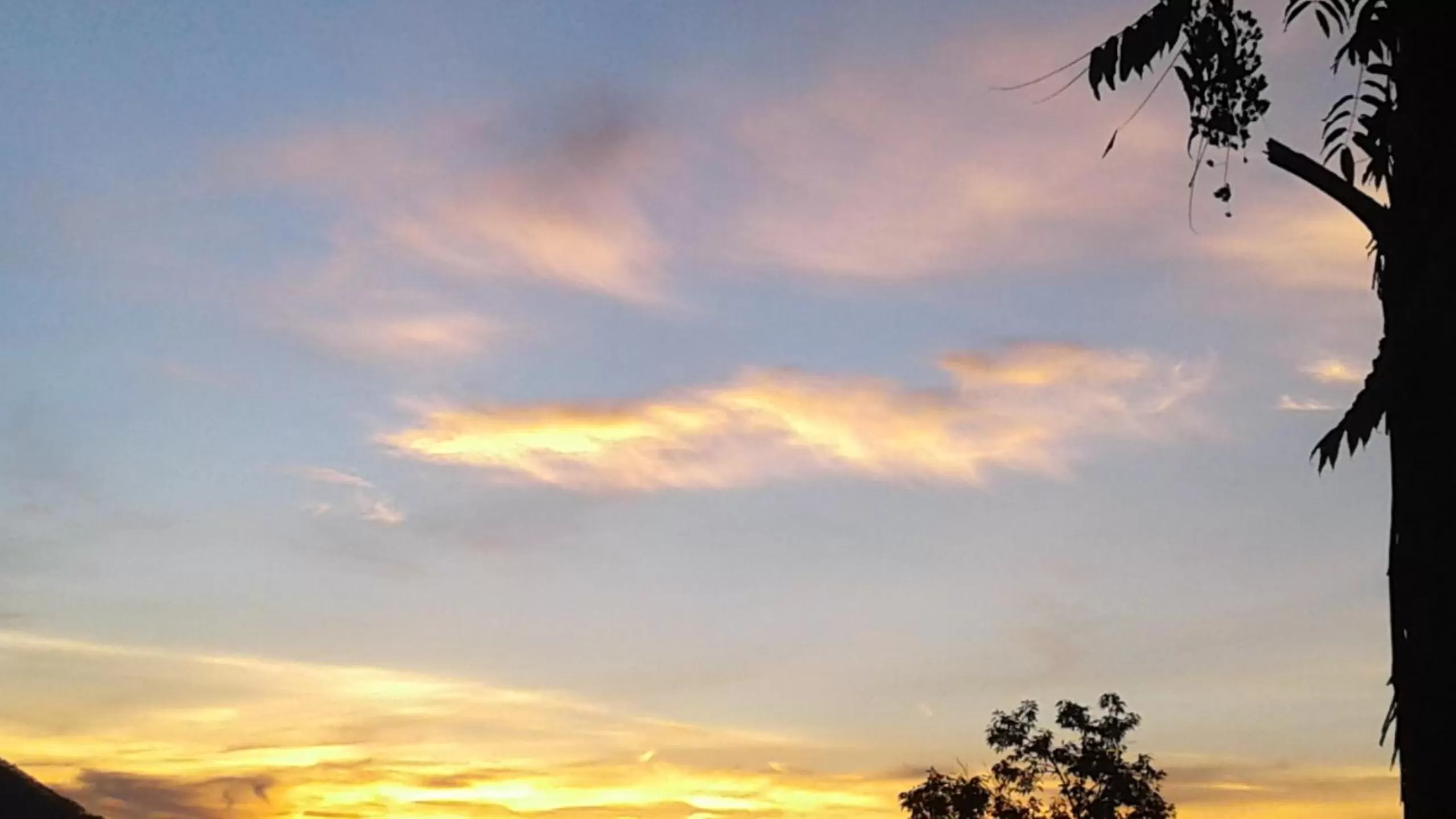 View (from property/room) in Sun View Resort Kithalella