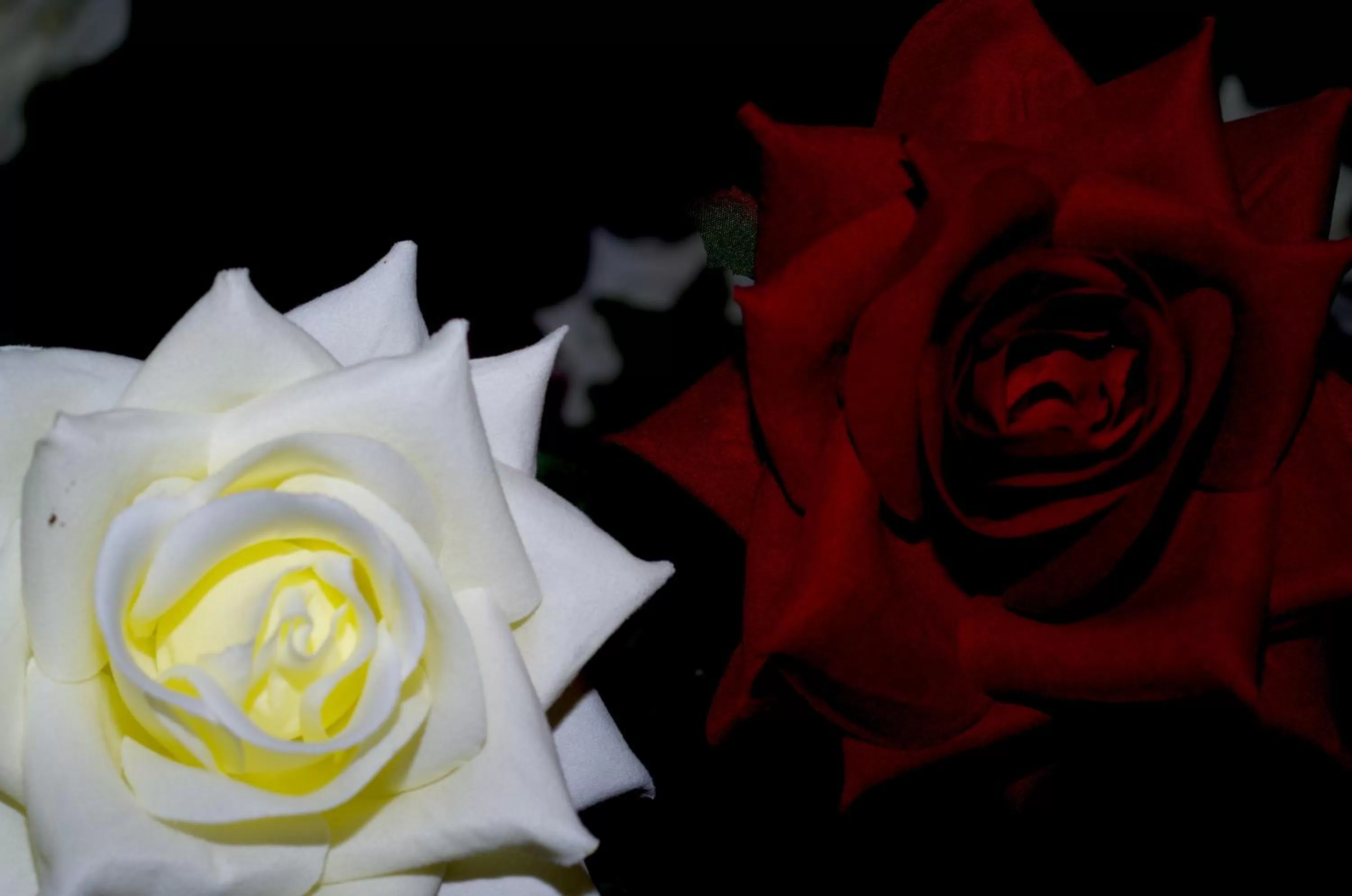 Olmitos 3 Hotel boutique, Casa-Palacio