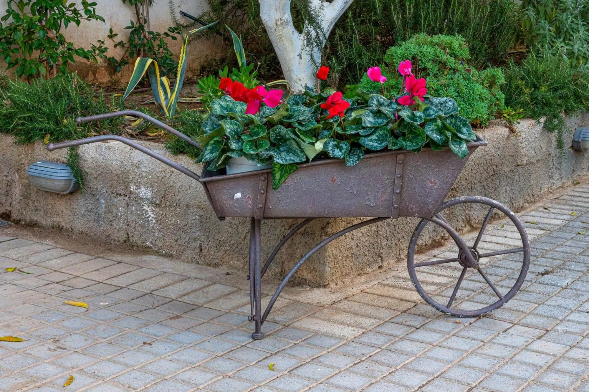 Garden in Comfort Stay Athens Airport Hotel - FREE shuttle from and to the airport