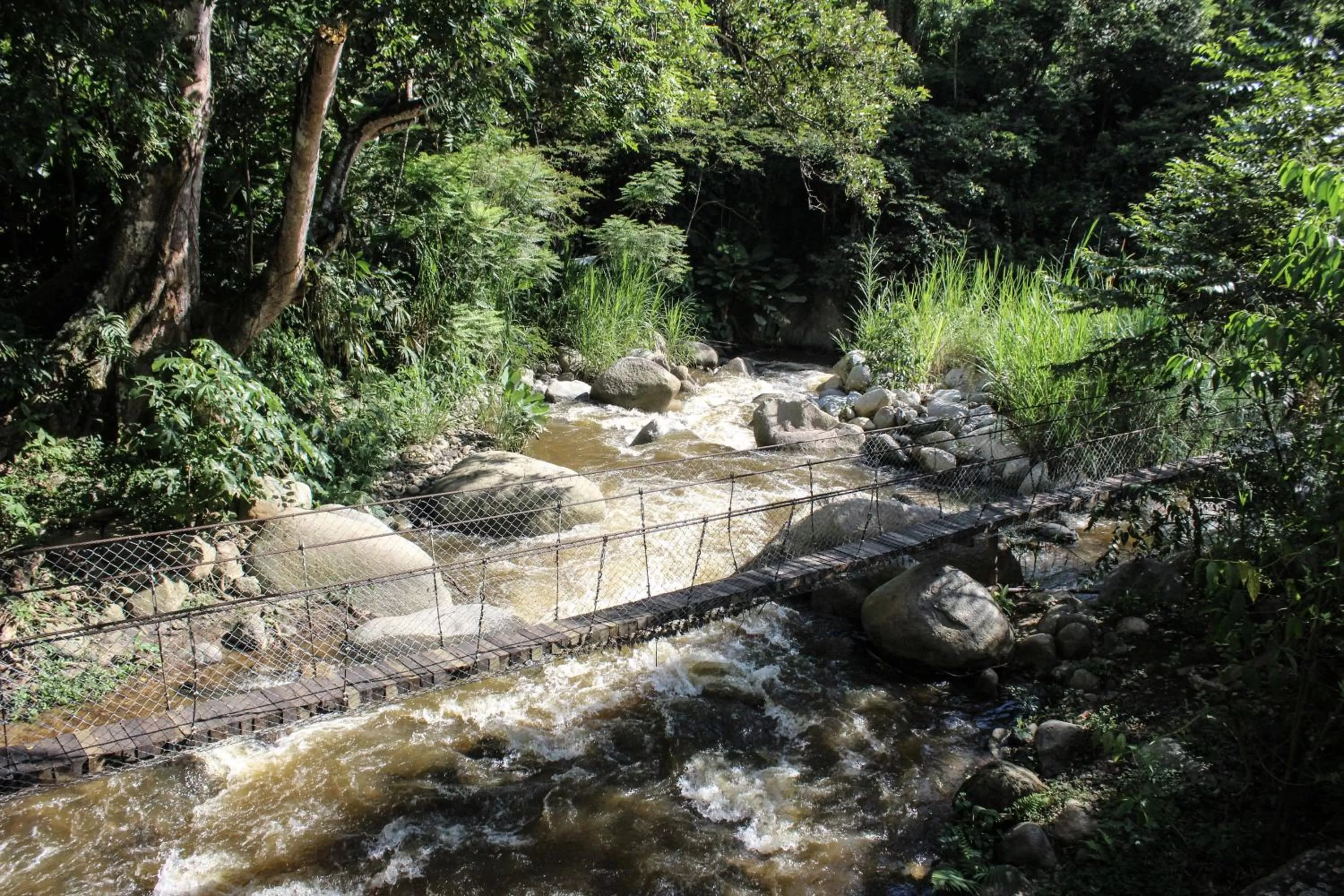 River view in Rio Escondido