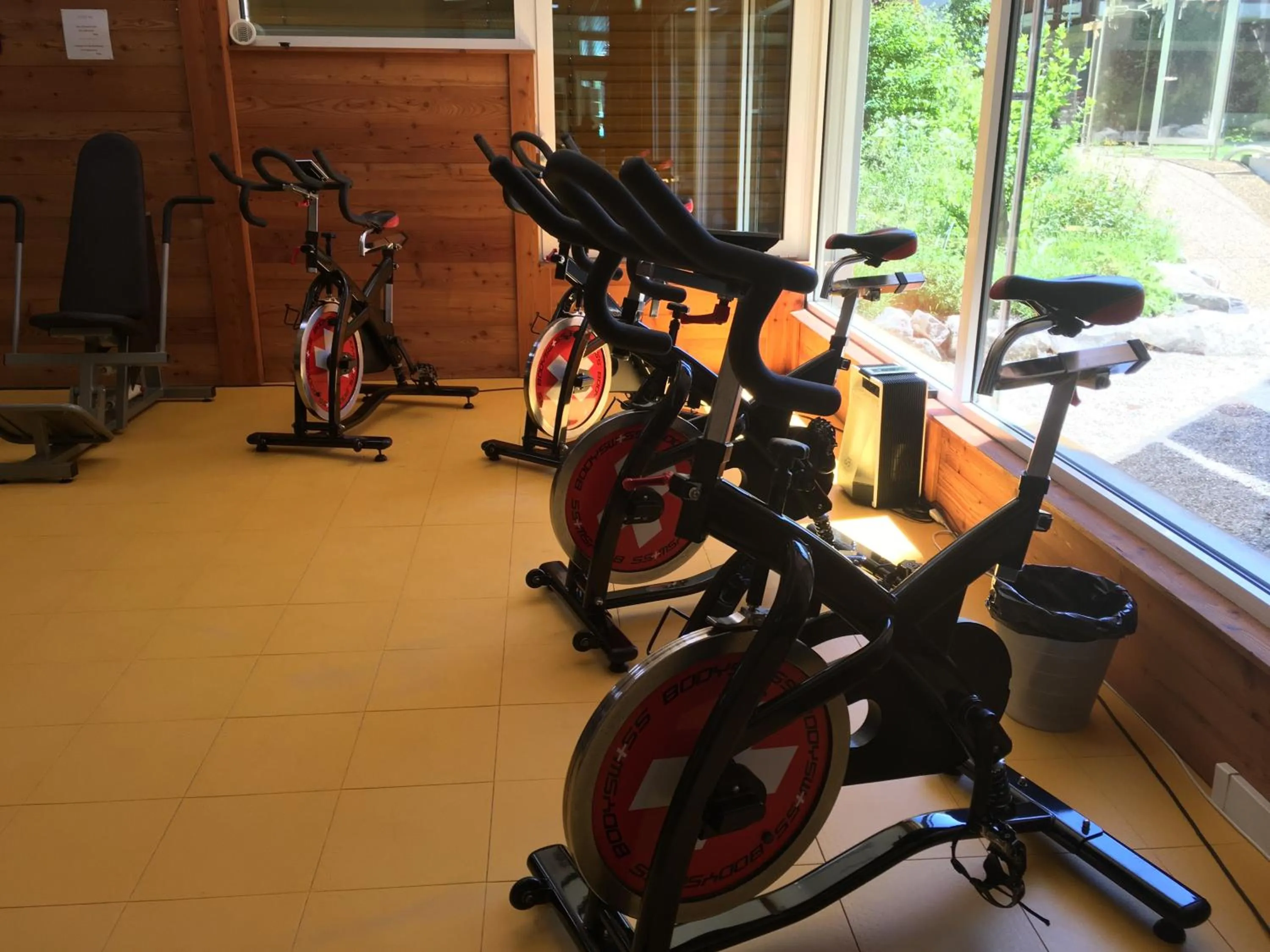 Fitness centre/facilities in Hôtel Les Bains d'Ovronnaz