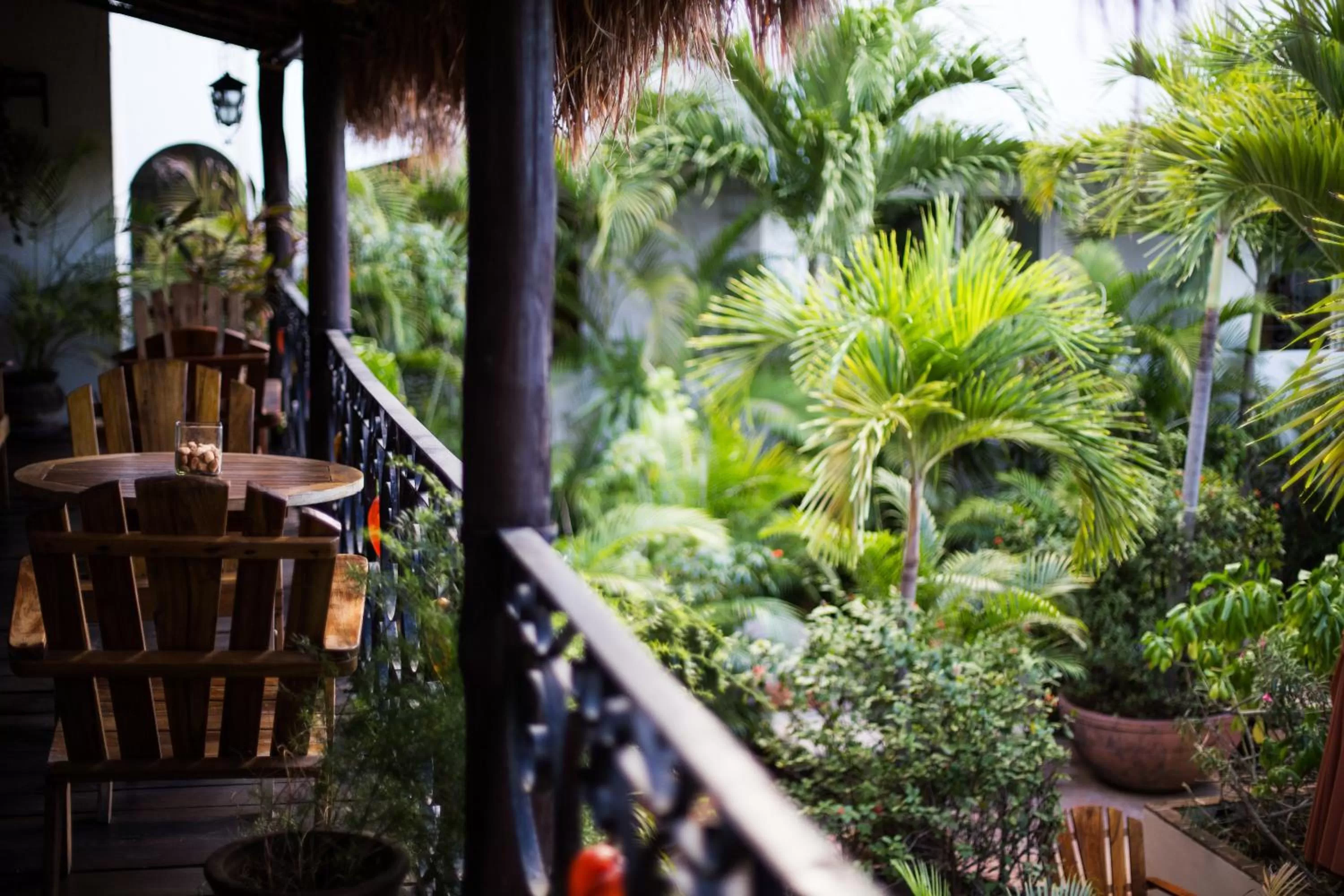Garden view in La Pasion Colonial Hotel Boutique By Bunik