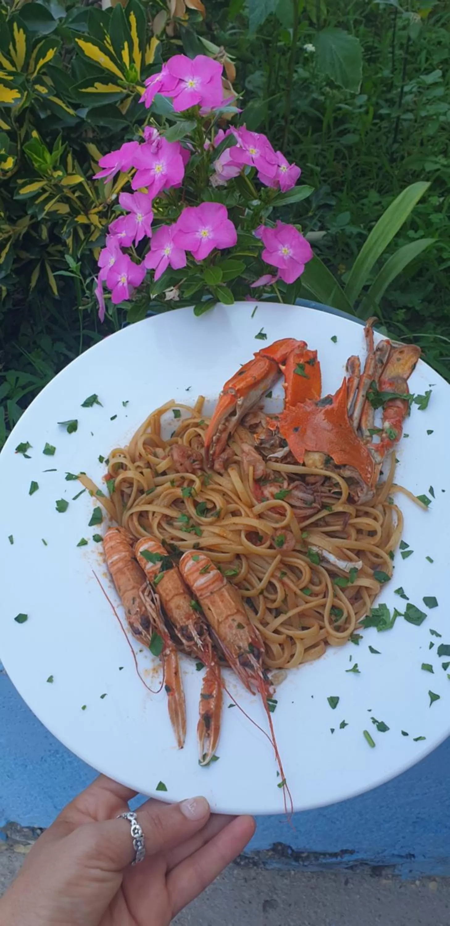 Food and drinks in Hotel Alba-Gert