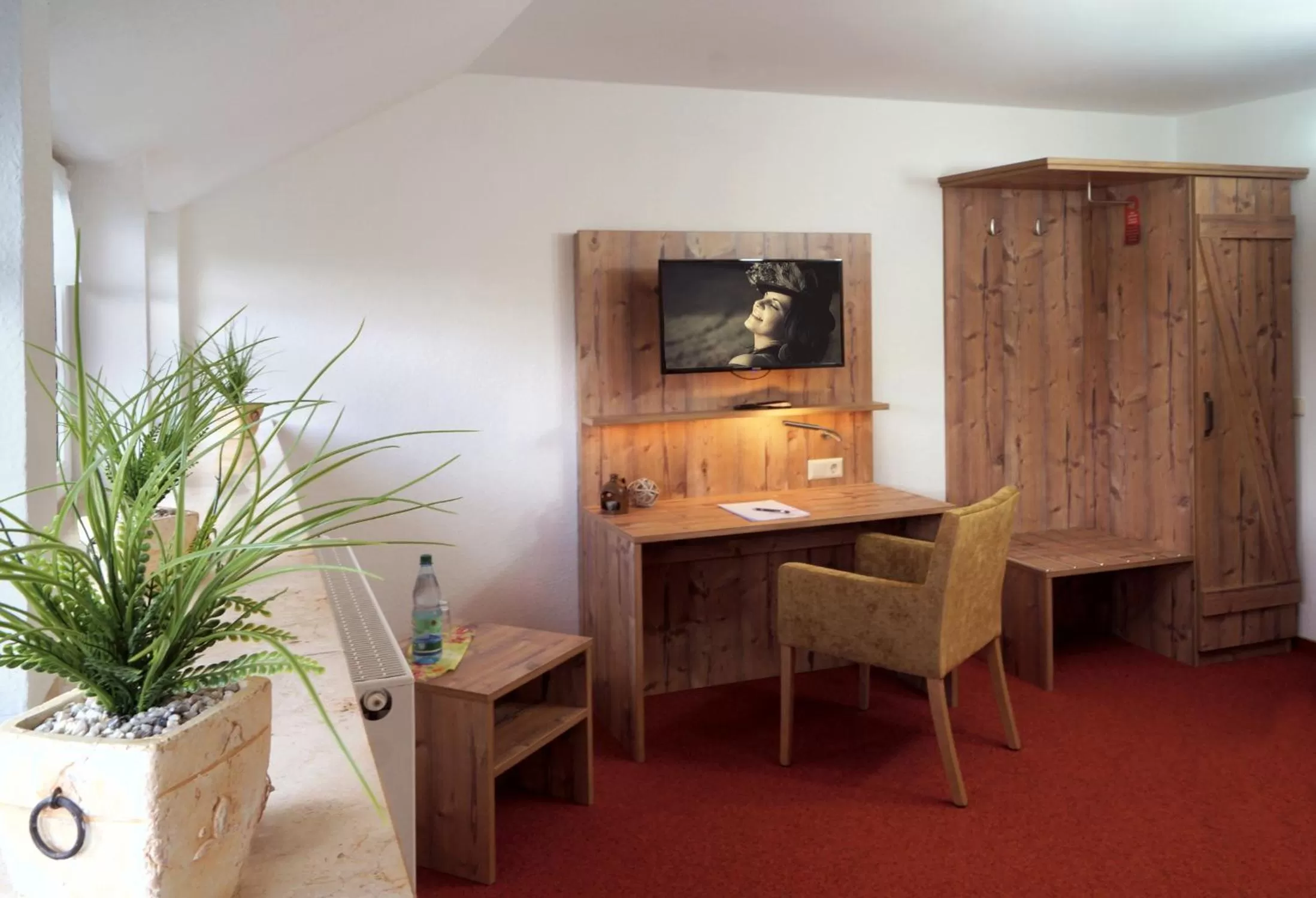 TV and multimedia in Erzgebirgshotel Misnia Bärenfels