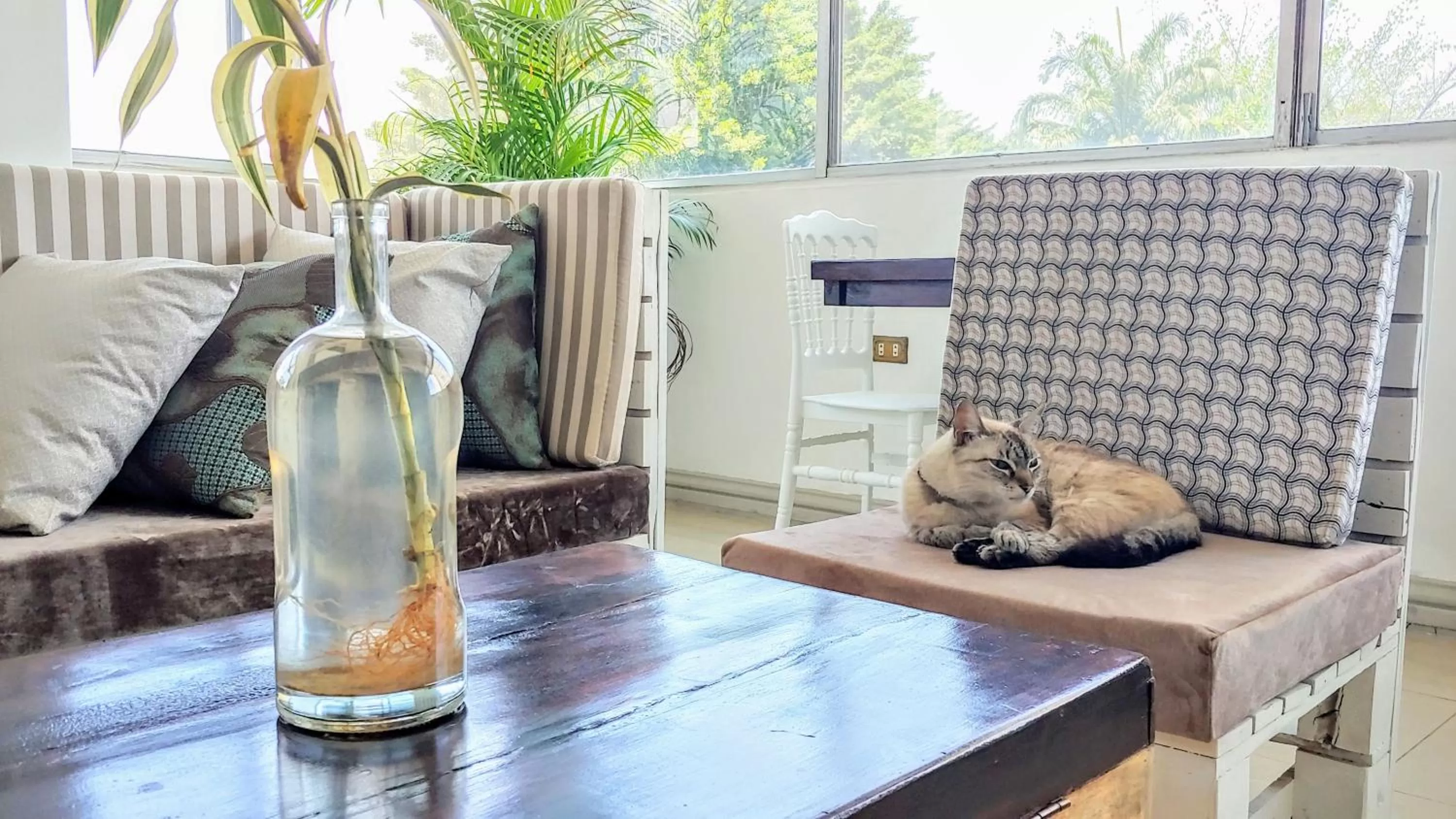 Living room in Pepe's House Guayaquil I Self Check-In MicroHotel