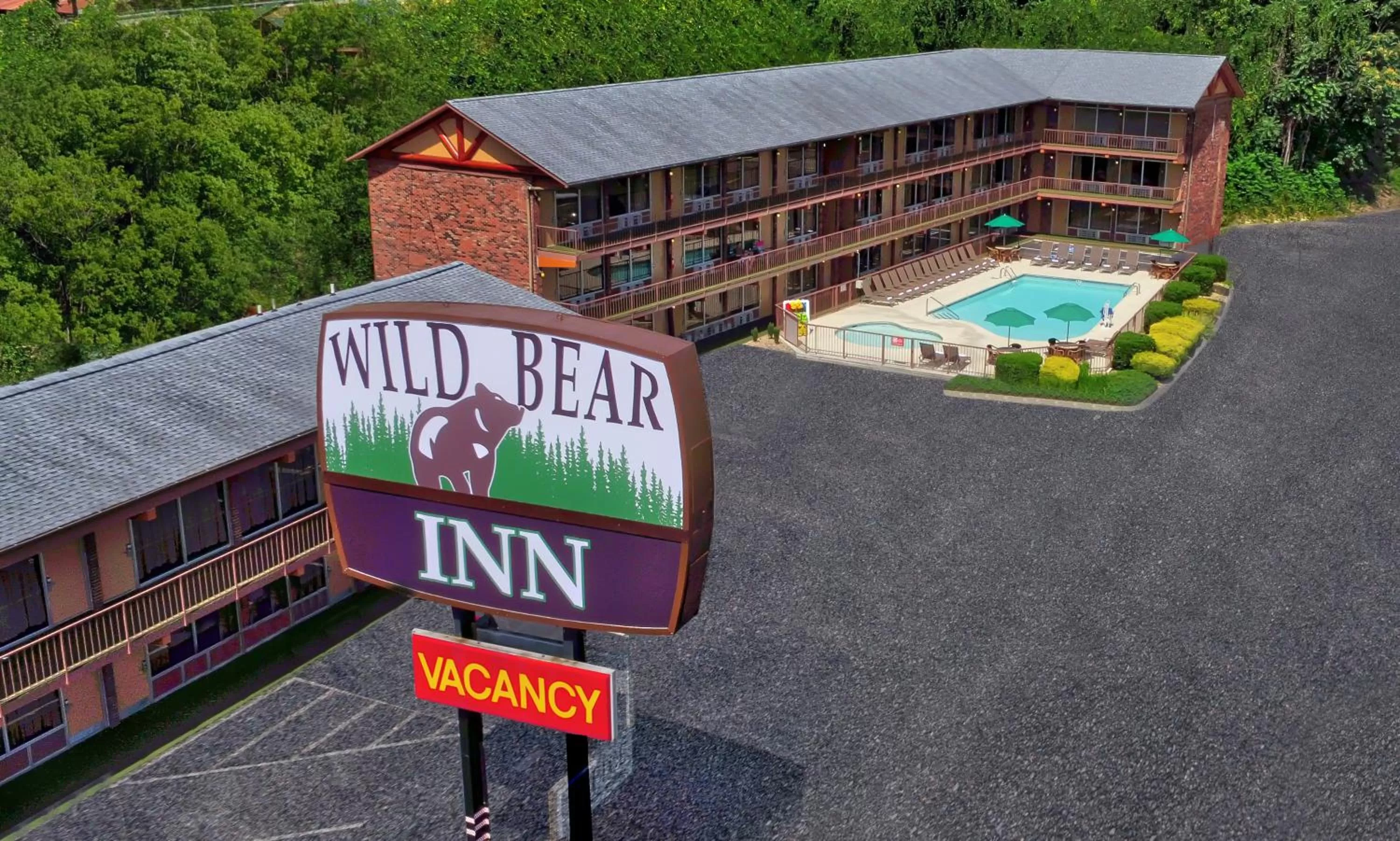 Bird's eye view in Wild Bear Inn