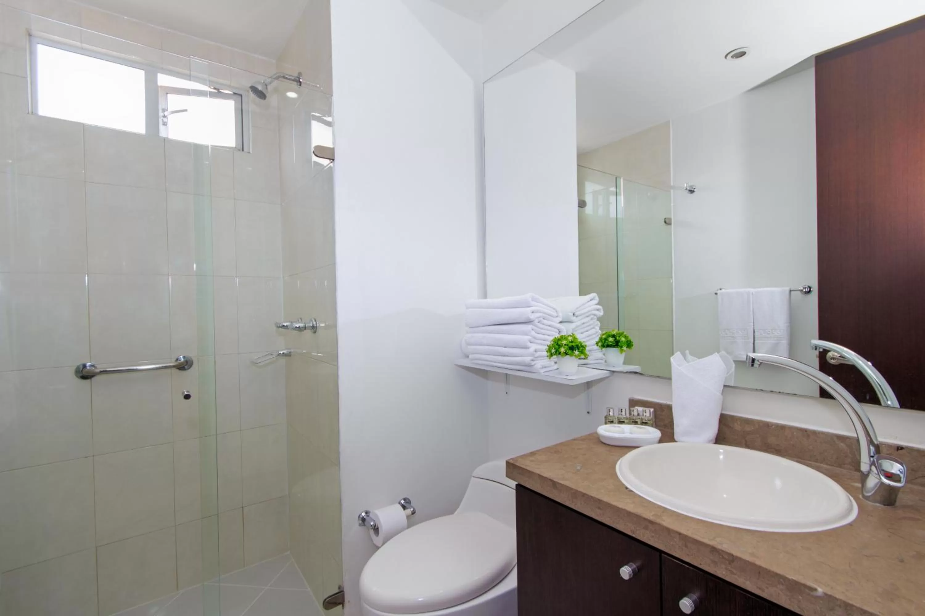 Shower in 122 Plaza Apartahotel