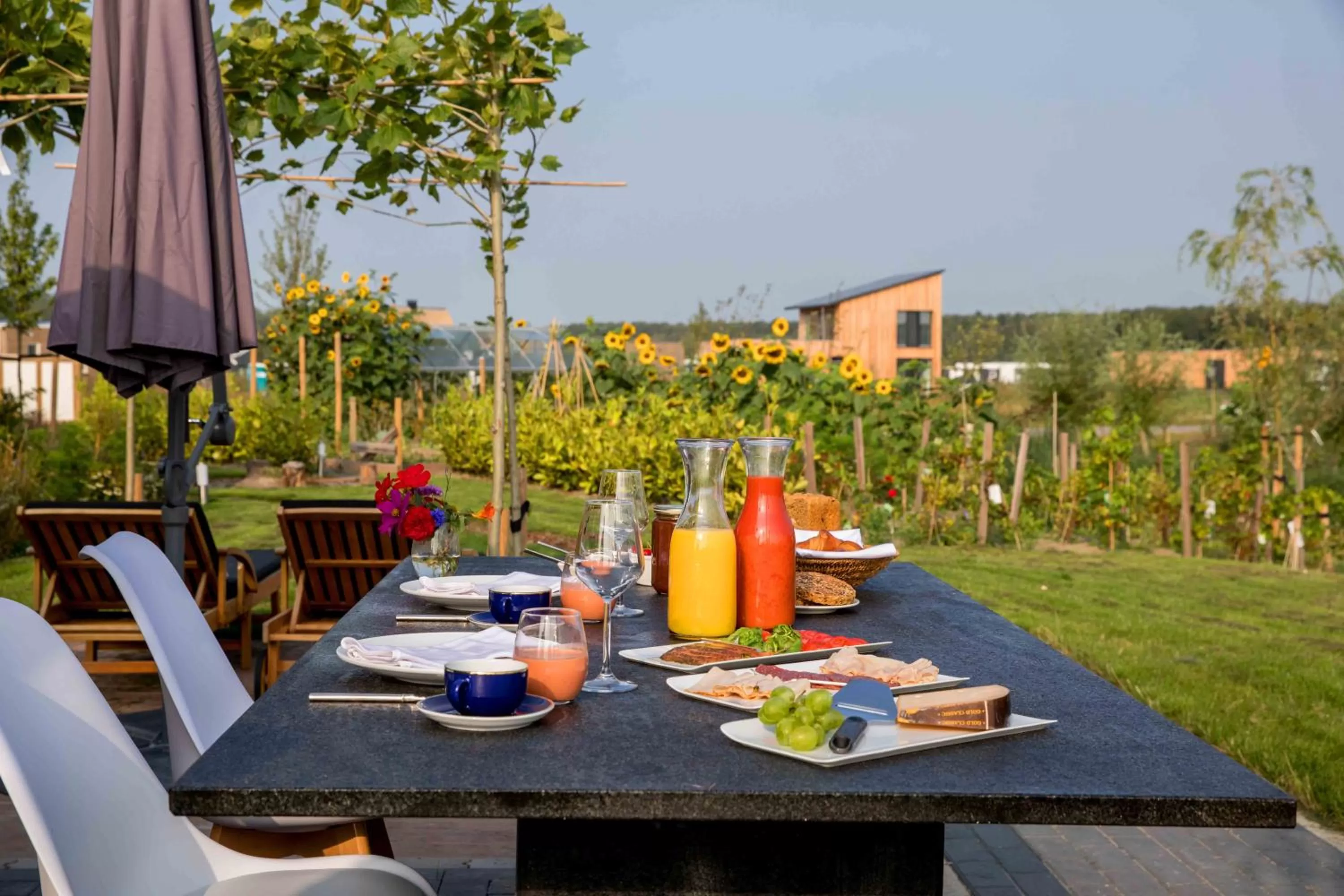 Amsterdam Area Residence Oosterwold