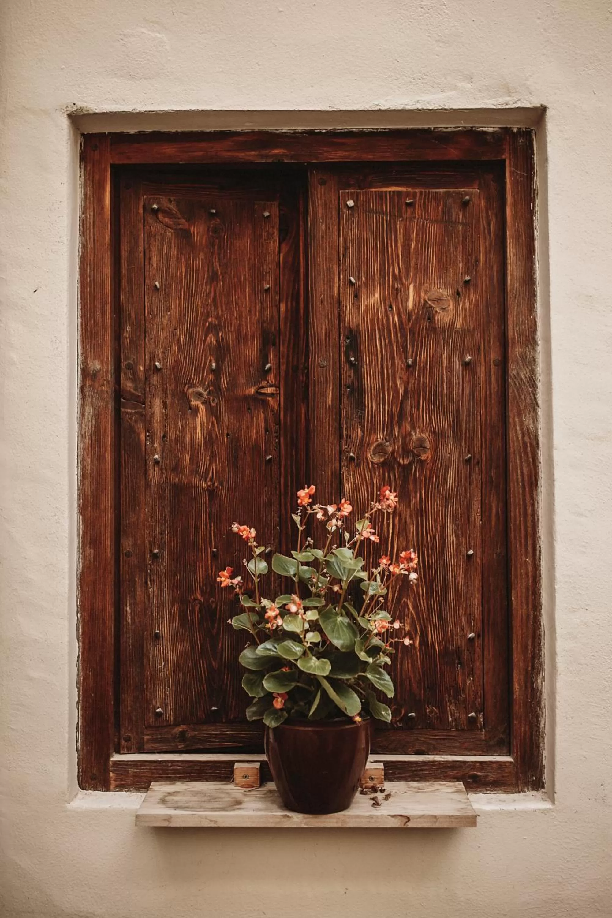 Decorative detail in Eco Hotel con encanto Masía la Mota B&B