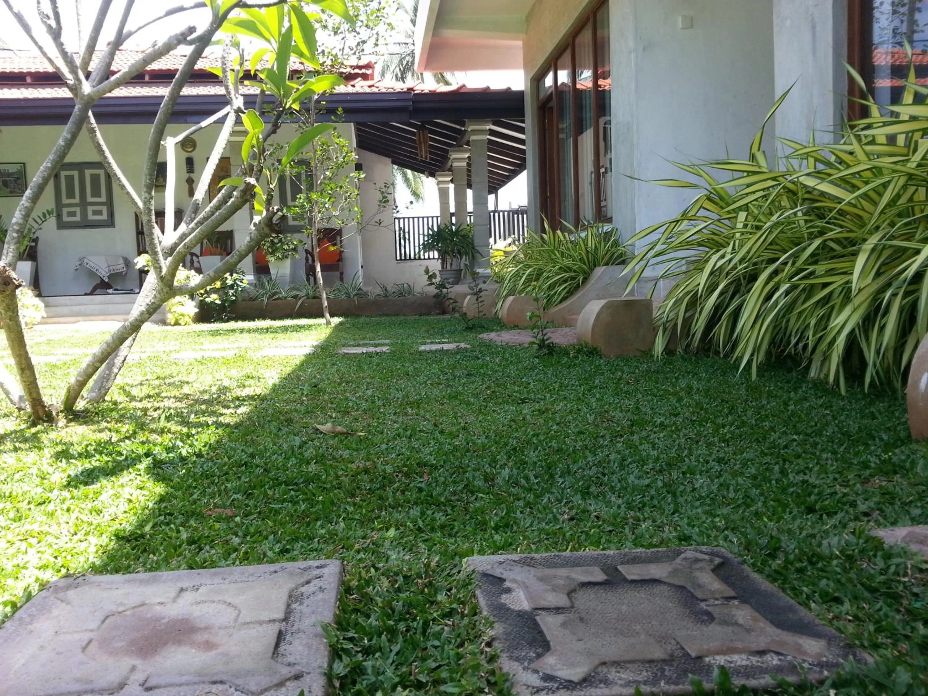 Garden in Green Wood Villa Negombo