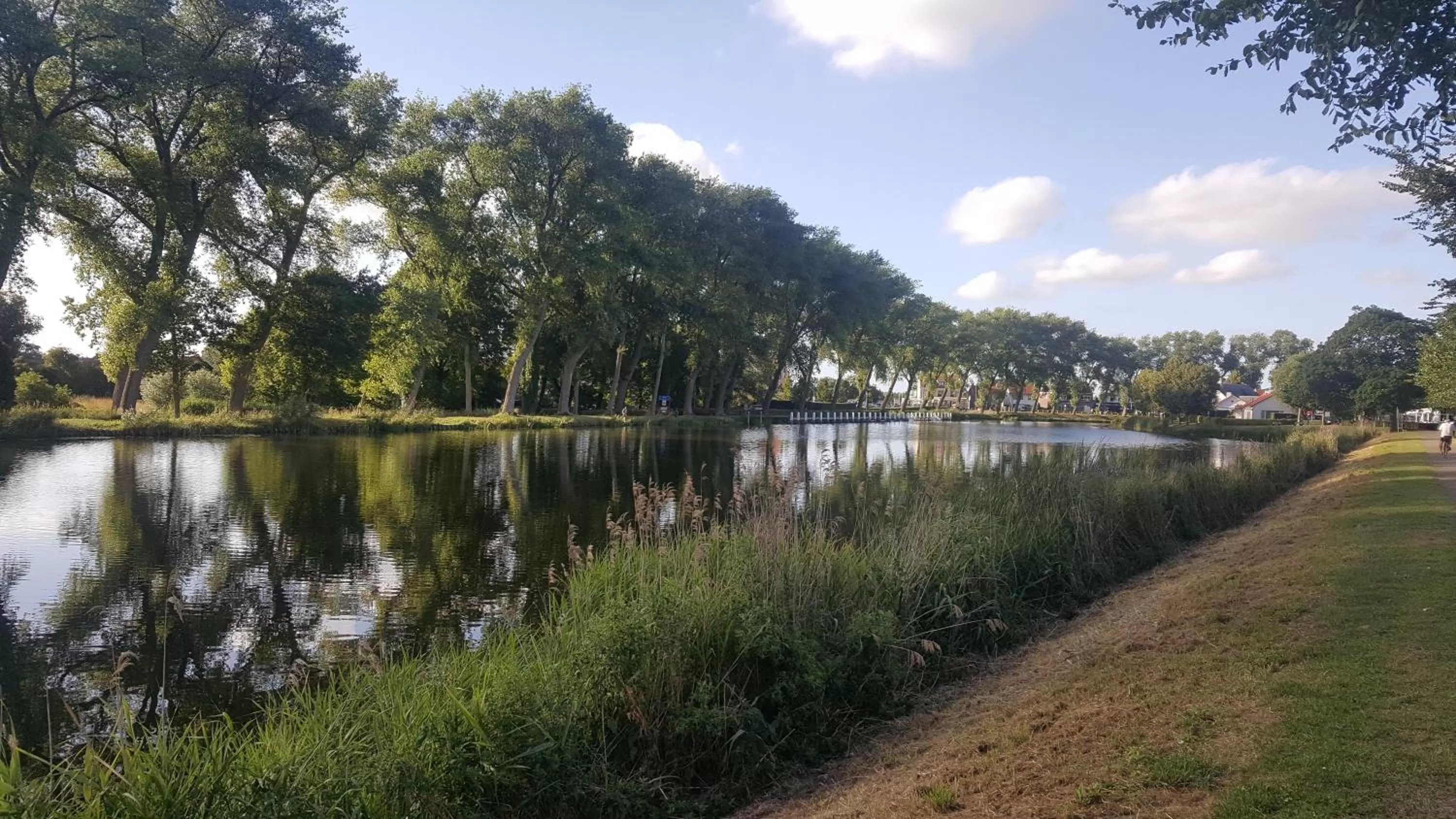 Natural landscape in Hotel Le Provencal