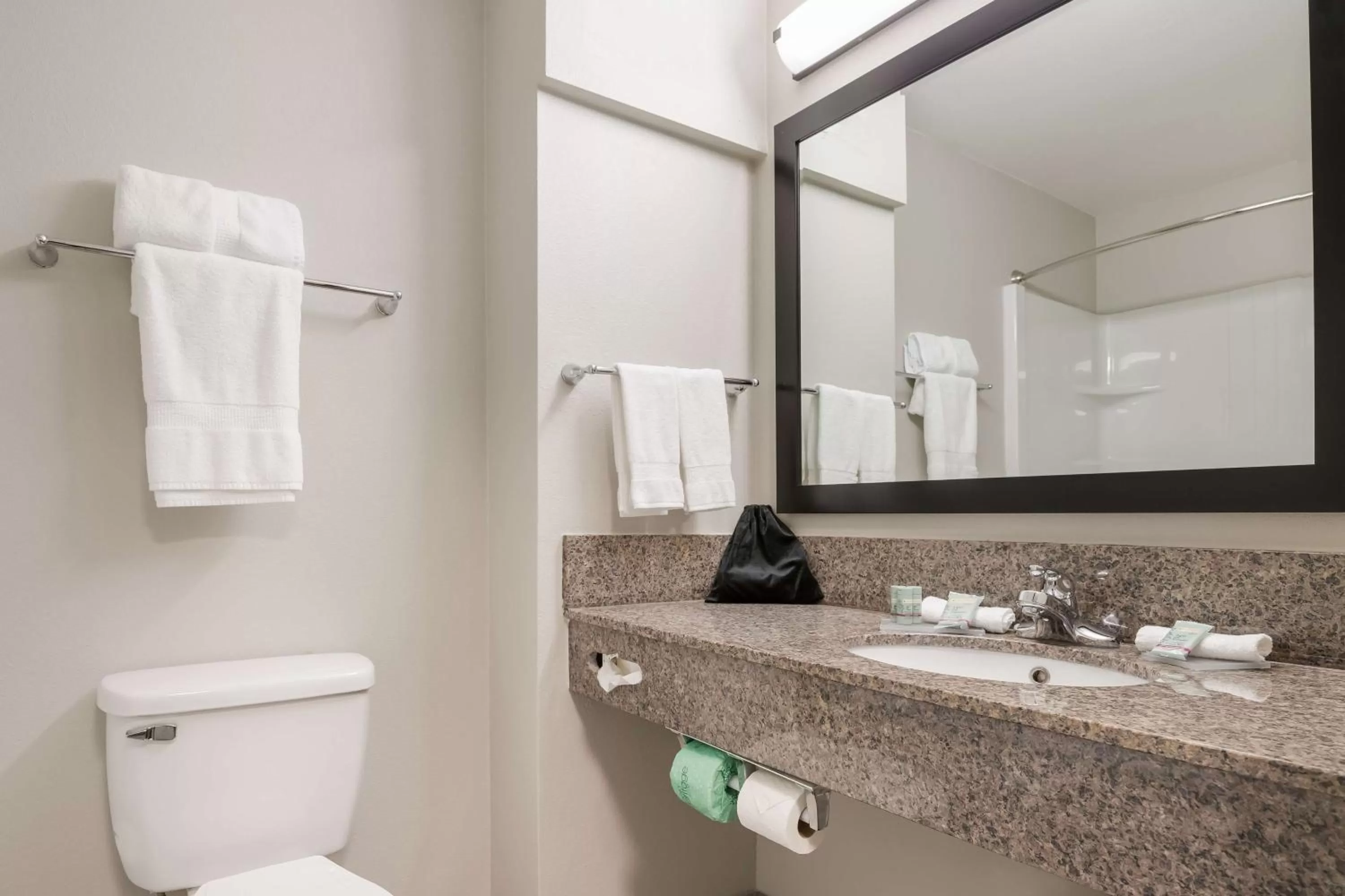 Bathroom in Best Western NSU Inn