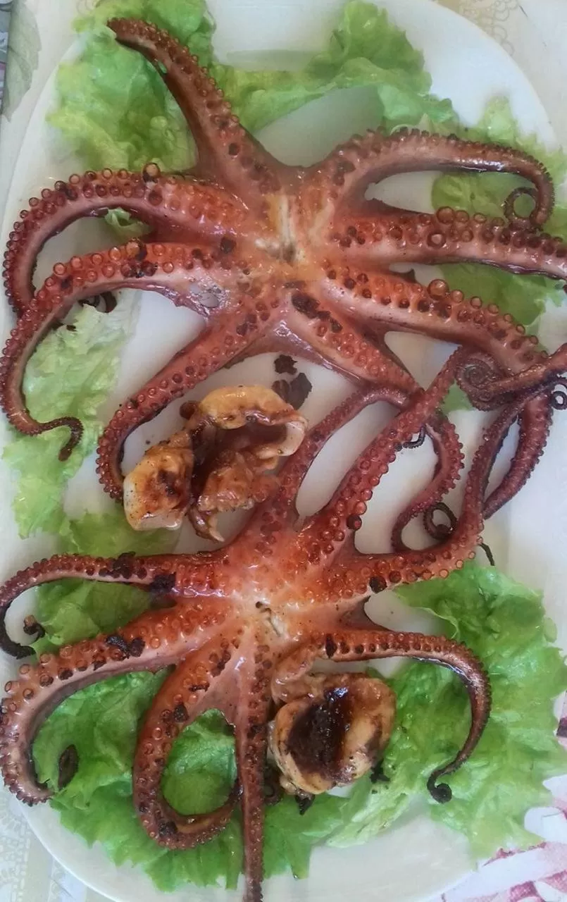 Restaurant/places to eat in "Frogs House" Hotel & Restorant Slow Food