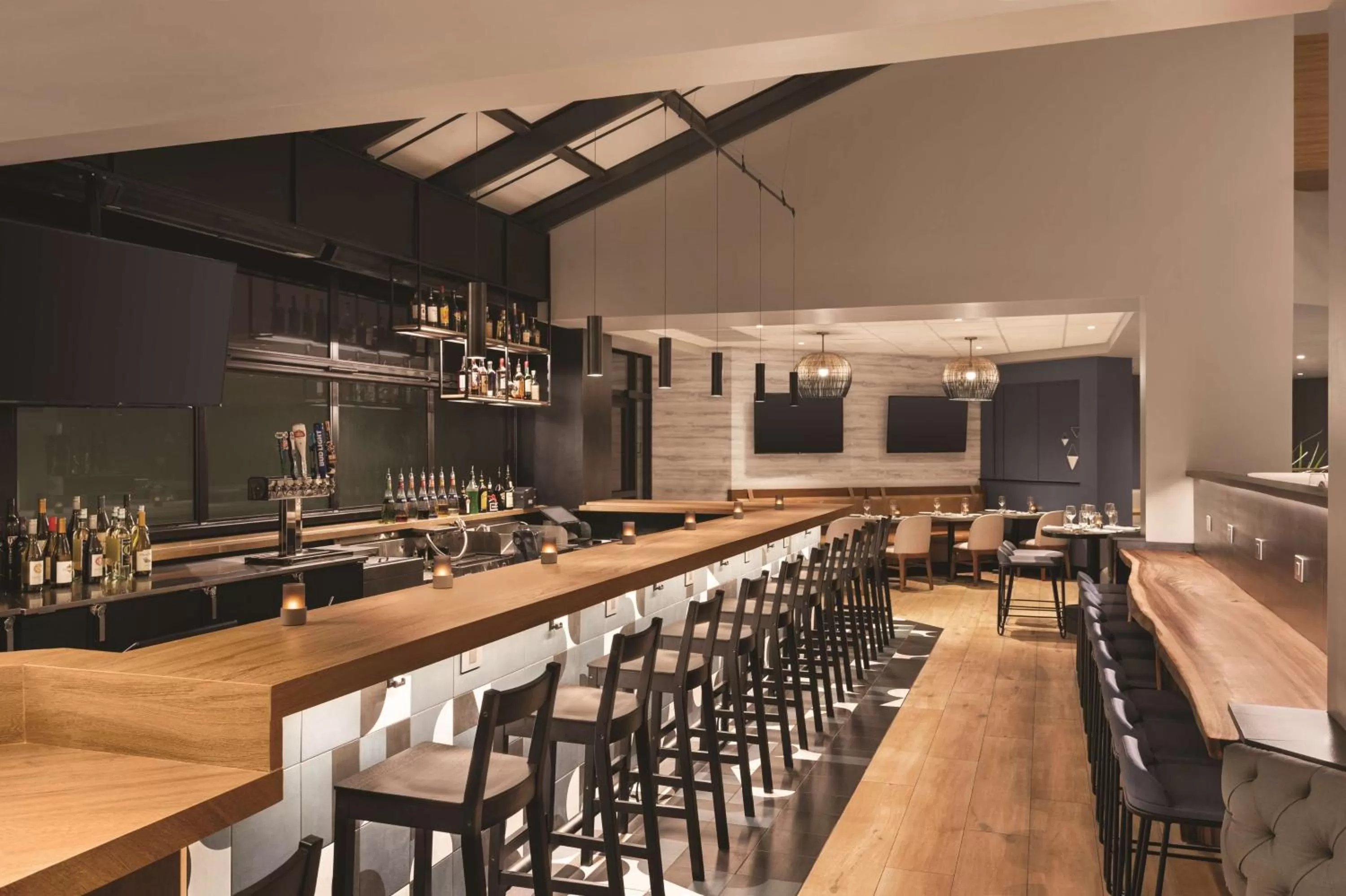 Lounge or bar in DoubleTree by Hilton Tampa Rocky Point Waterfront