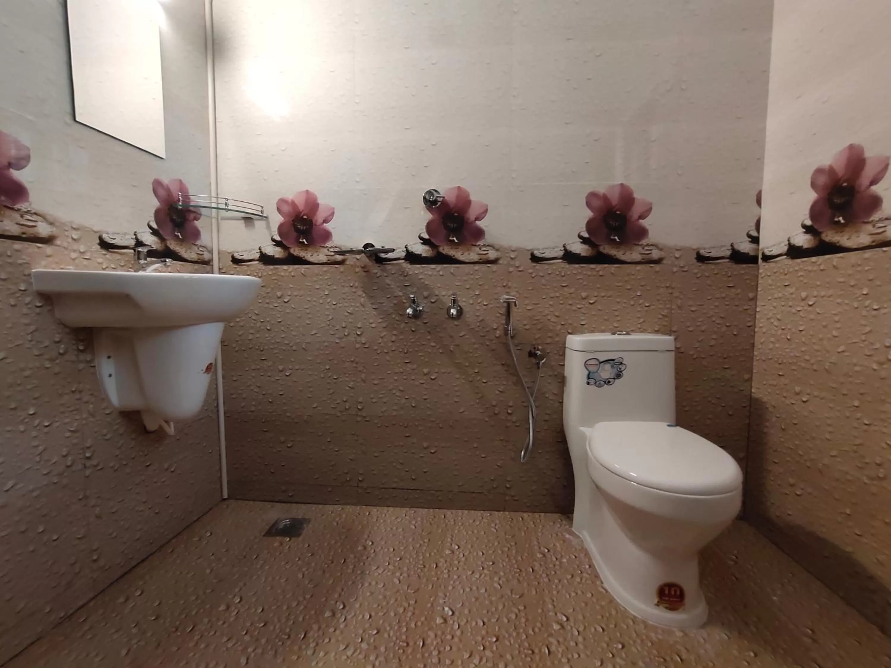 Bathroom in White House Residency