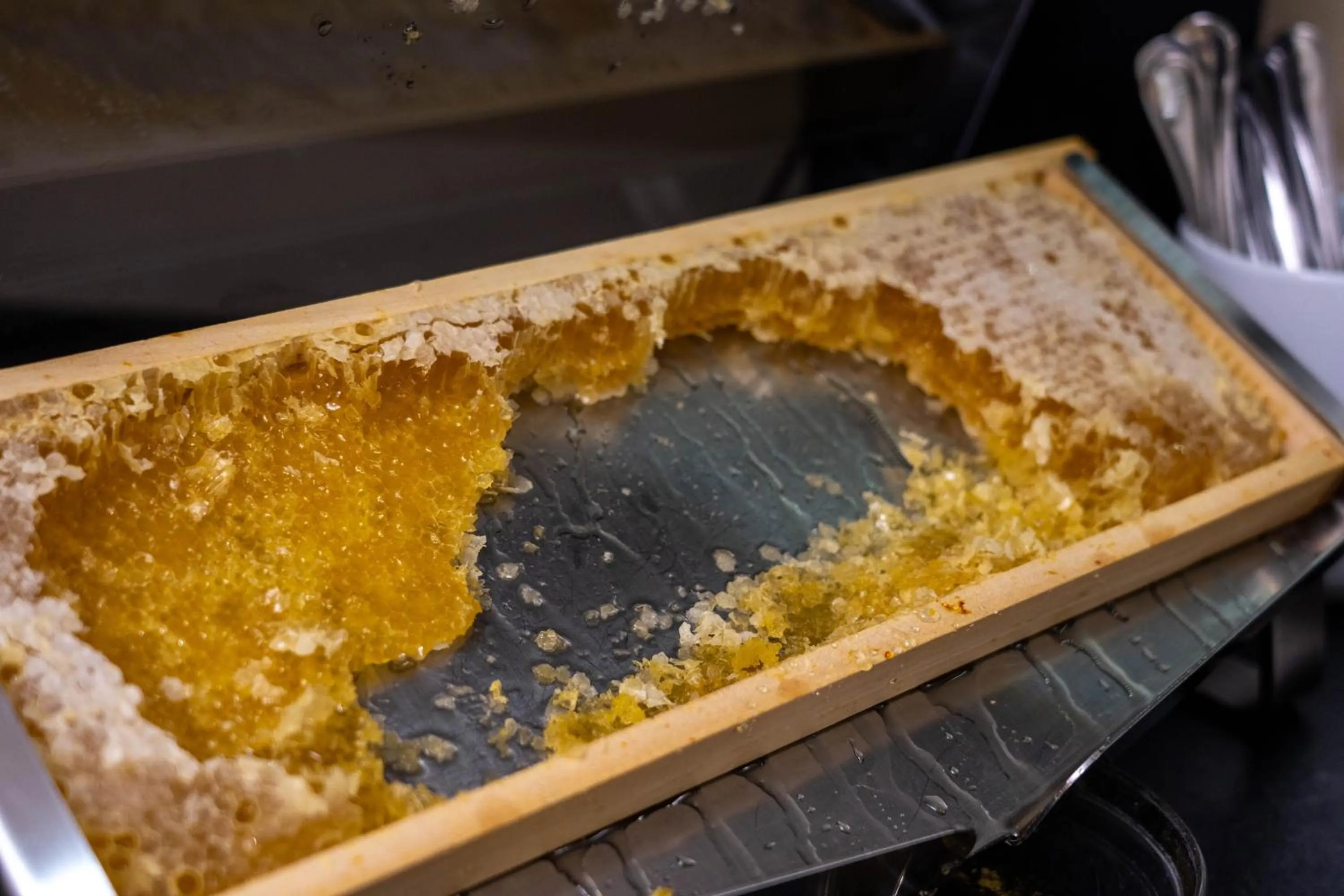 Buffet breakfast in Hotel Ancora