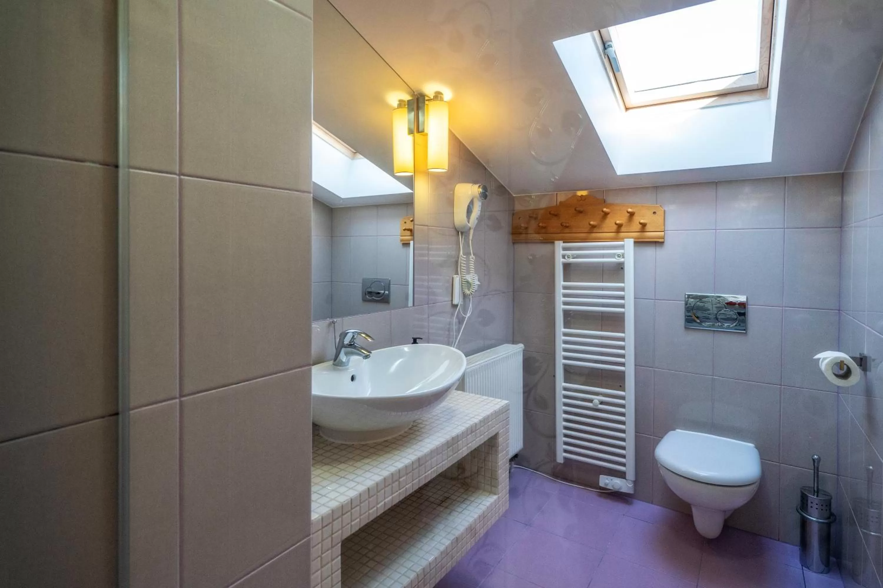 Toilet in Butorowy Dwór