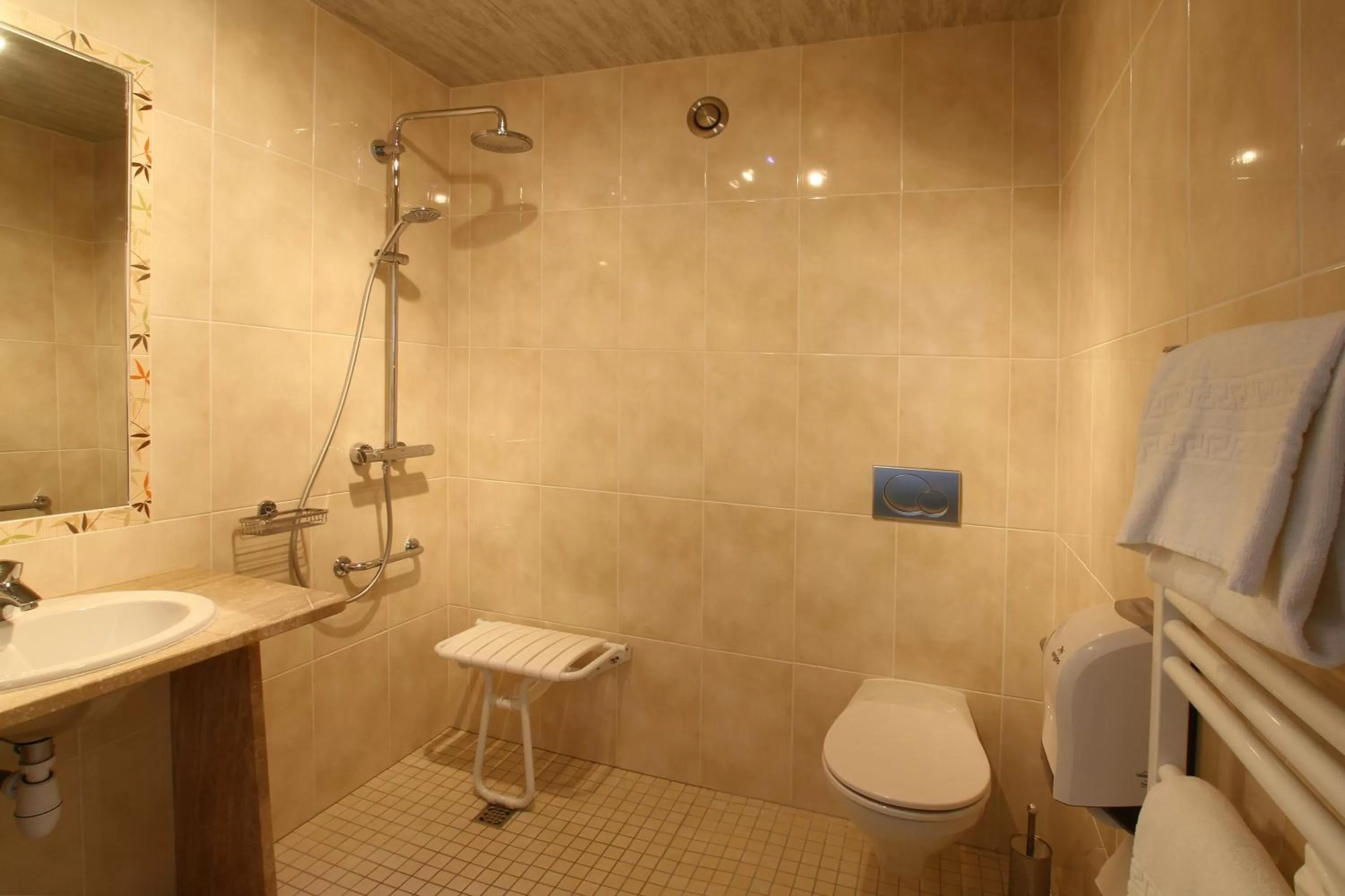 Bathroom in Hotel Champ Alsace