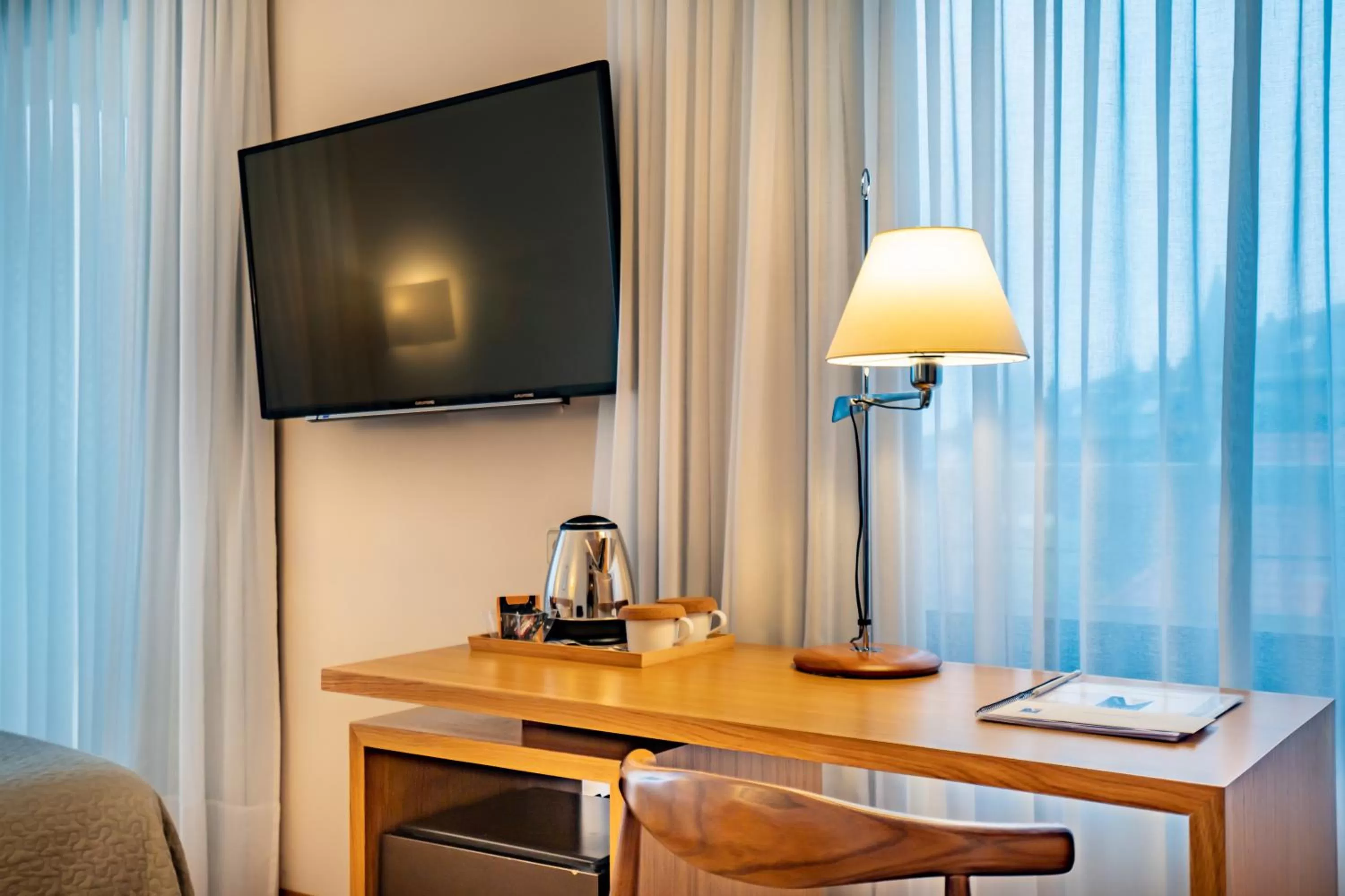 TV and multimedia in Gran Hotel Victoria