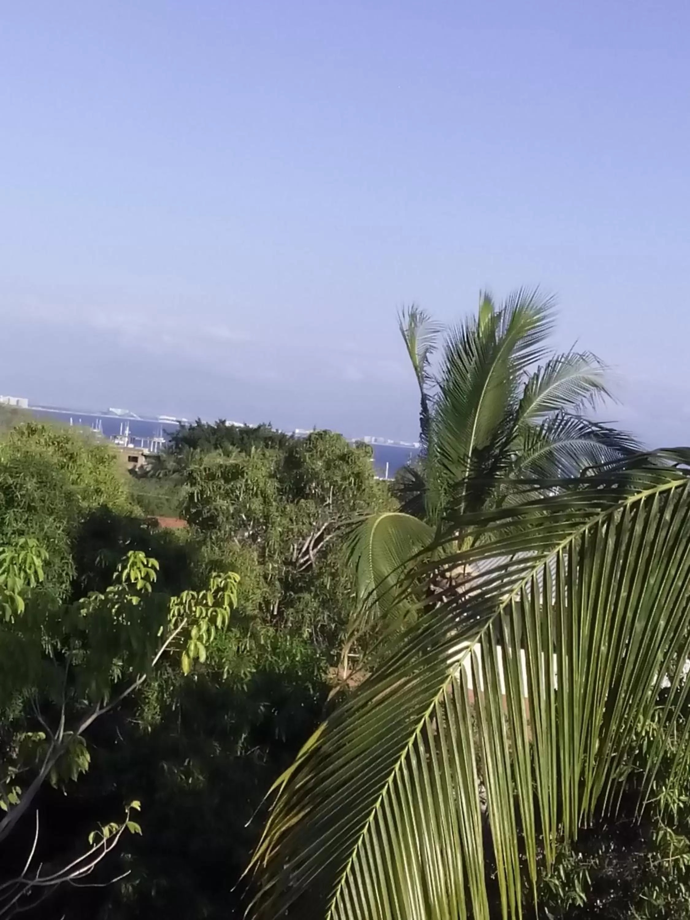 View (from property/room) in Delfin