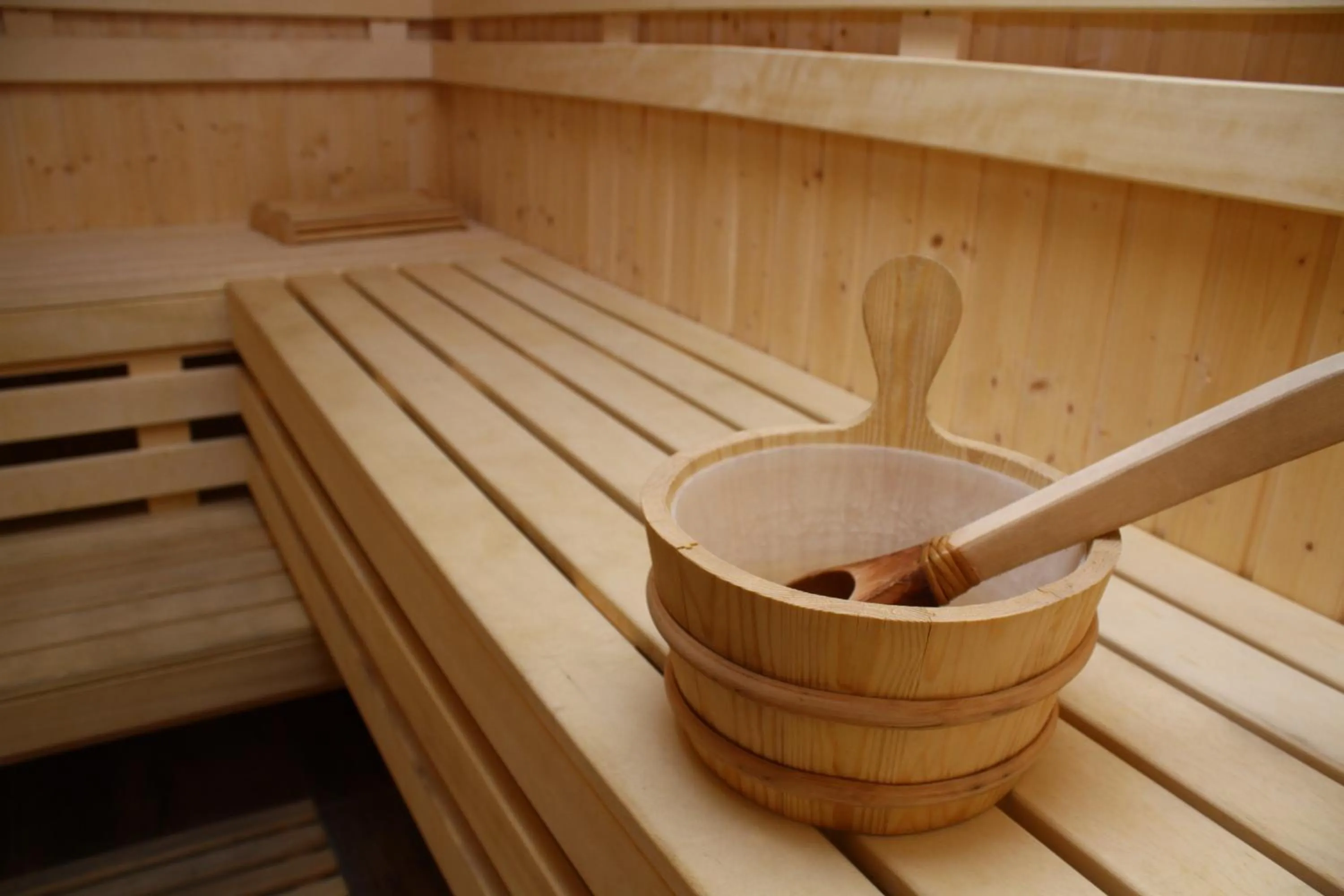 Sauna in White Rock Castle Suite Hotel & SPA