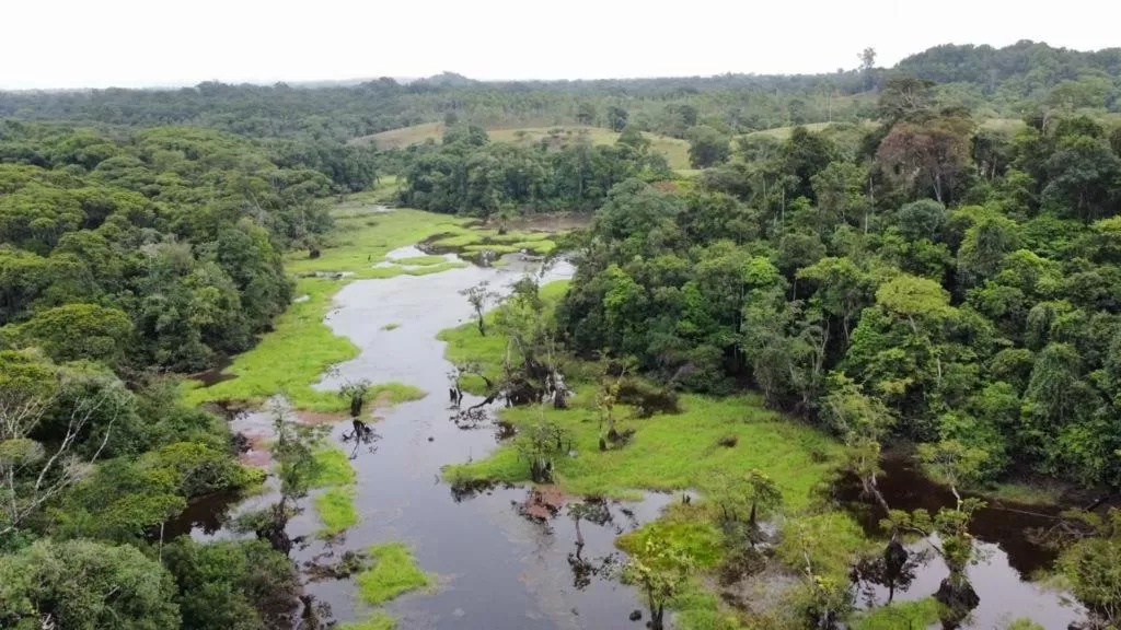 Bird's eye view in Iguanitas Lodge