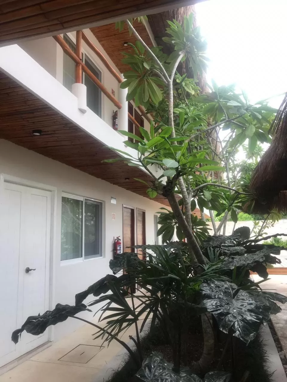 Patio in AGAM Hotel Boutique Bacalar - Adults Only