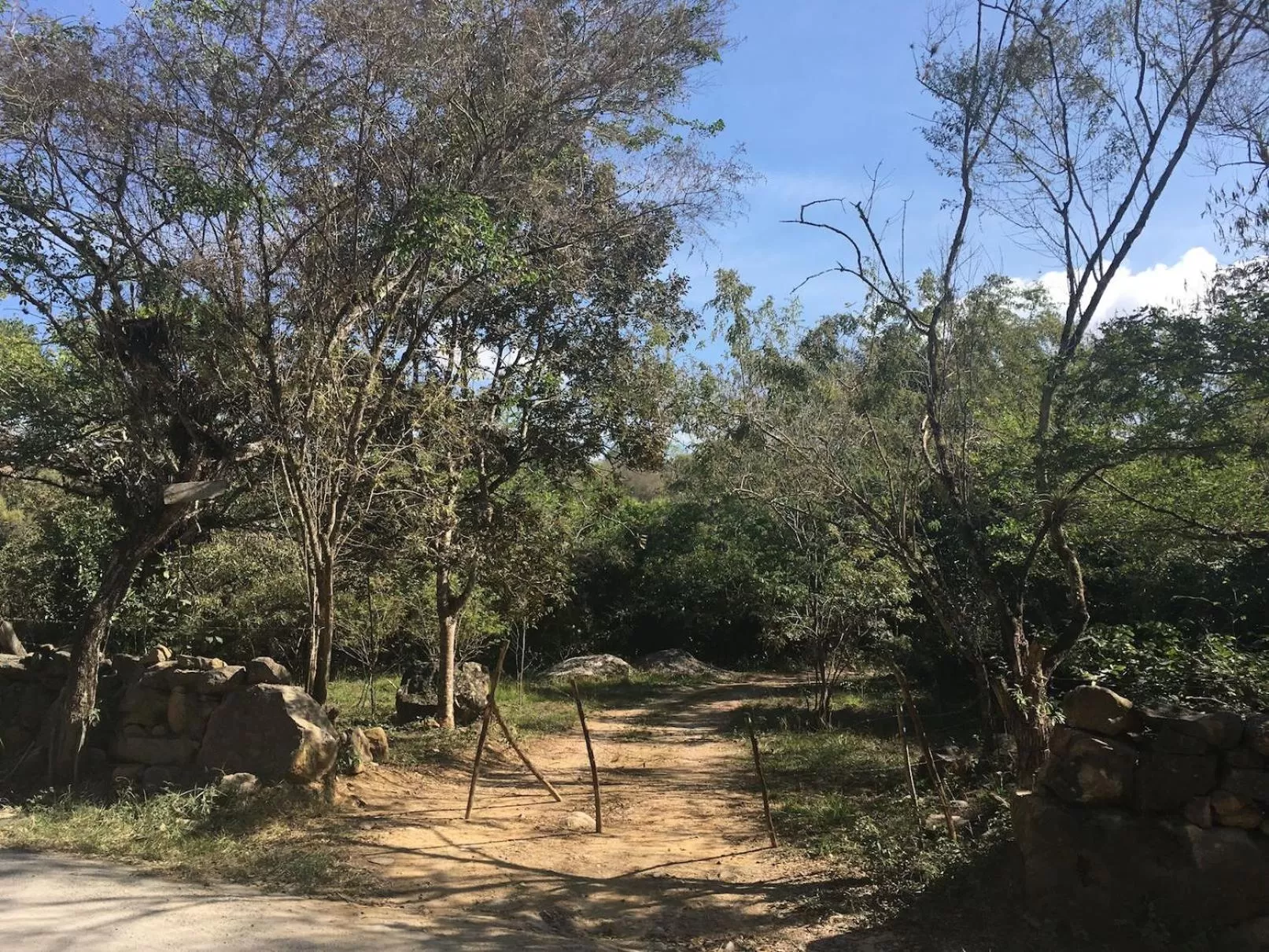 Decorative detail in Finca San Pedro