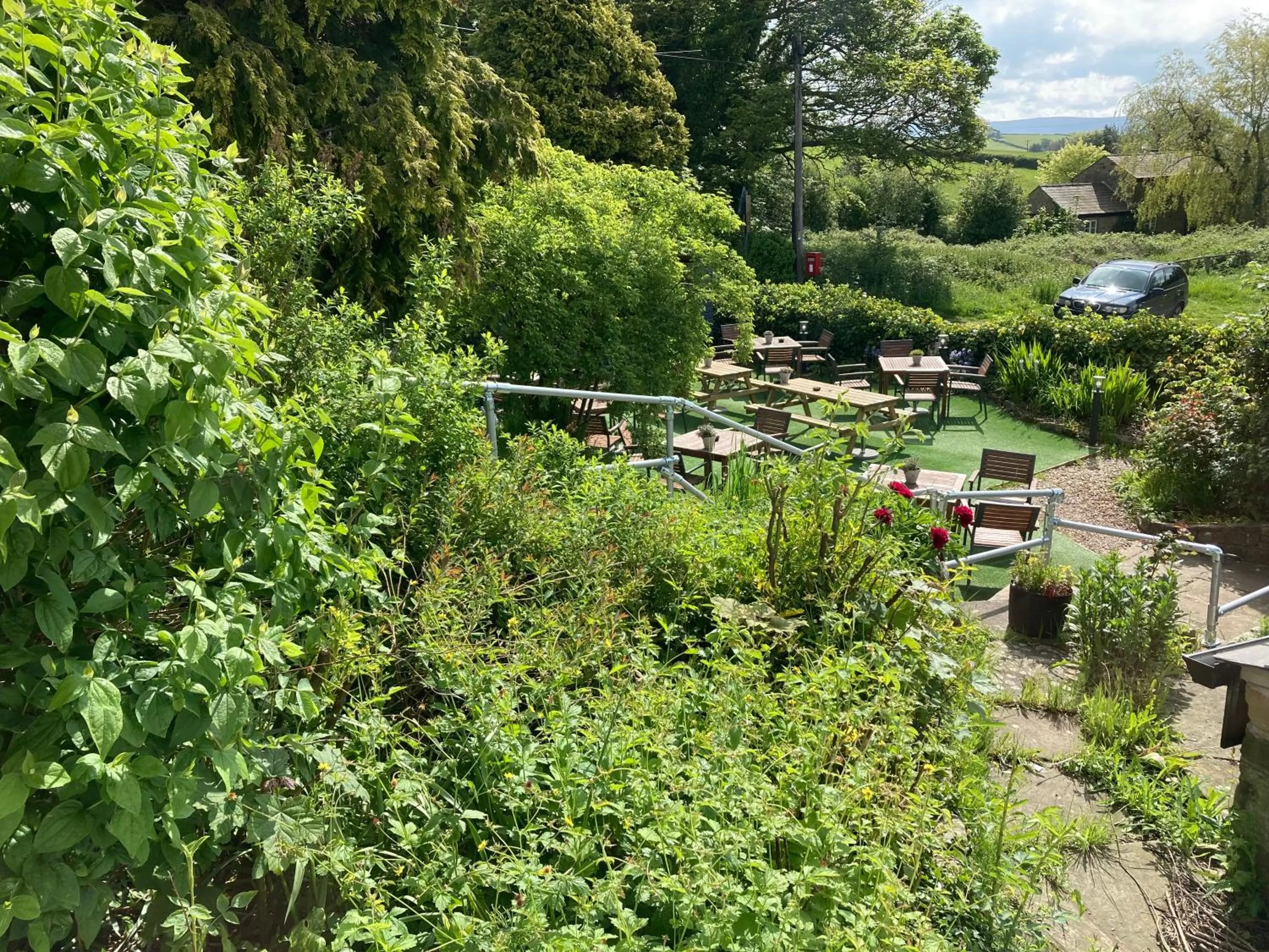 Garden in The Stork Hotel