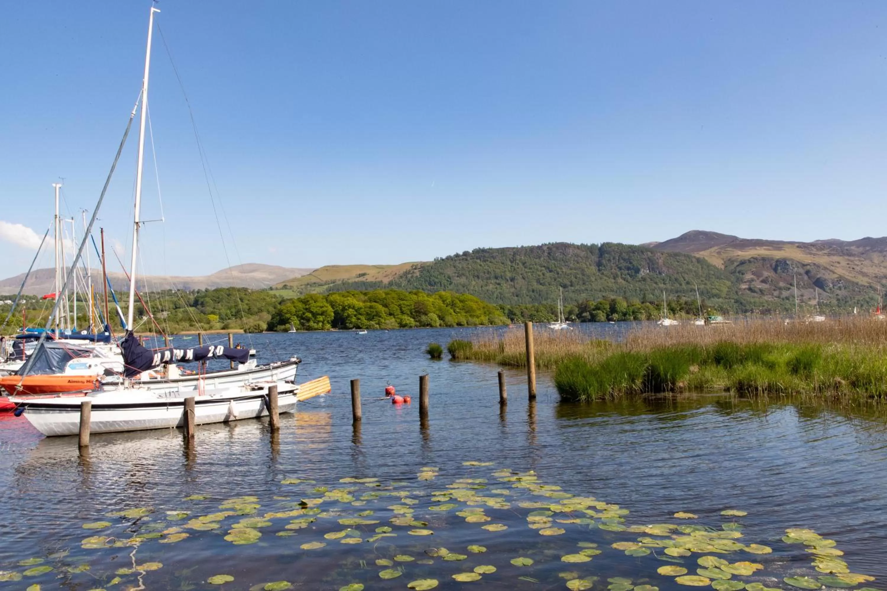 Natural landscape in The Derwentwater Hotel