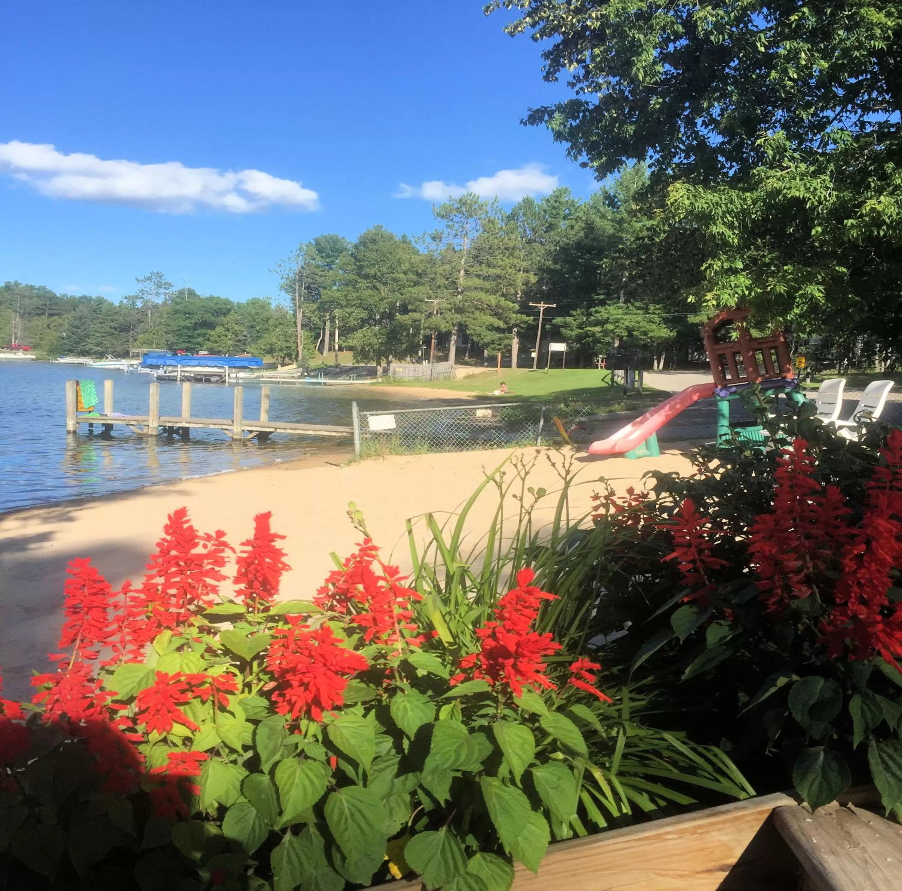 Day in Clear Lake Resort