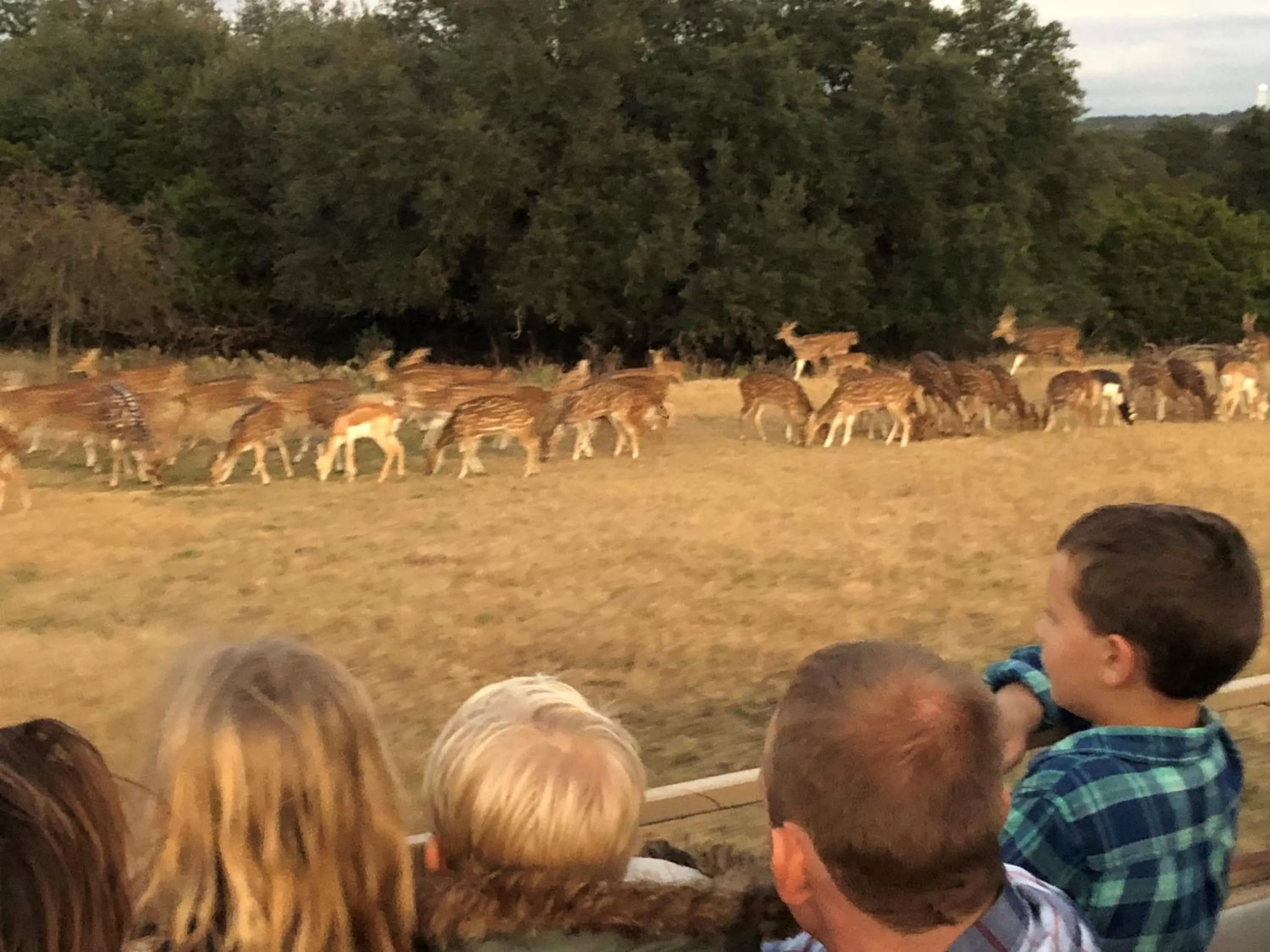 Flying L Ranch Resort & Golf Course