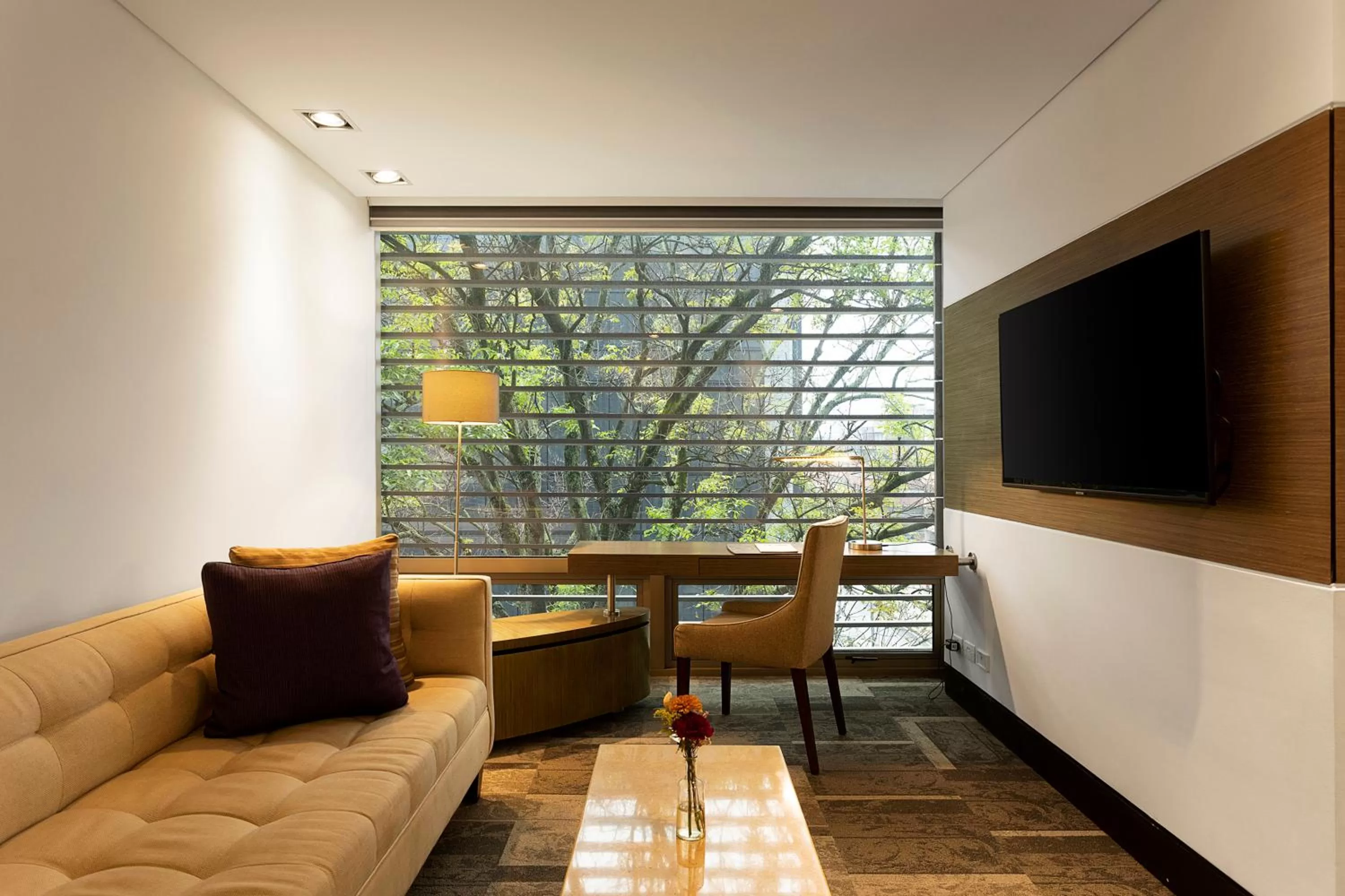 TV and multimedia in EK Hotel By Preferred Hotels Group