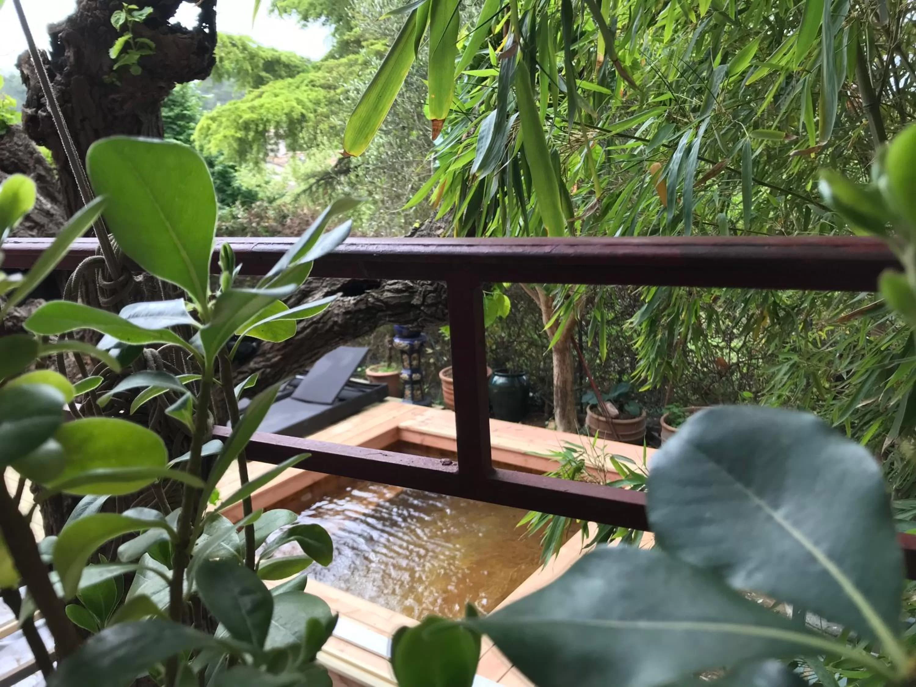 Swimming pool in Le Belvédère - Chambres d'hôtes de charme et Restaurant