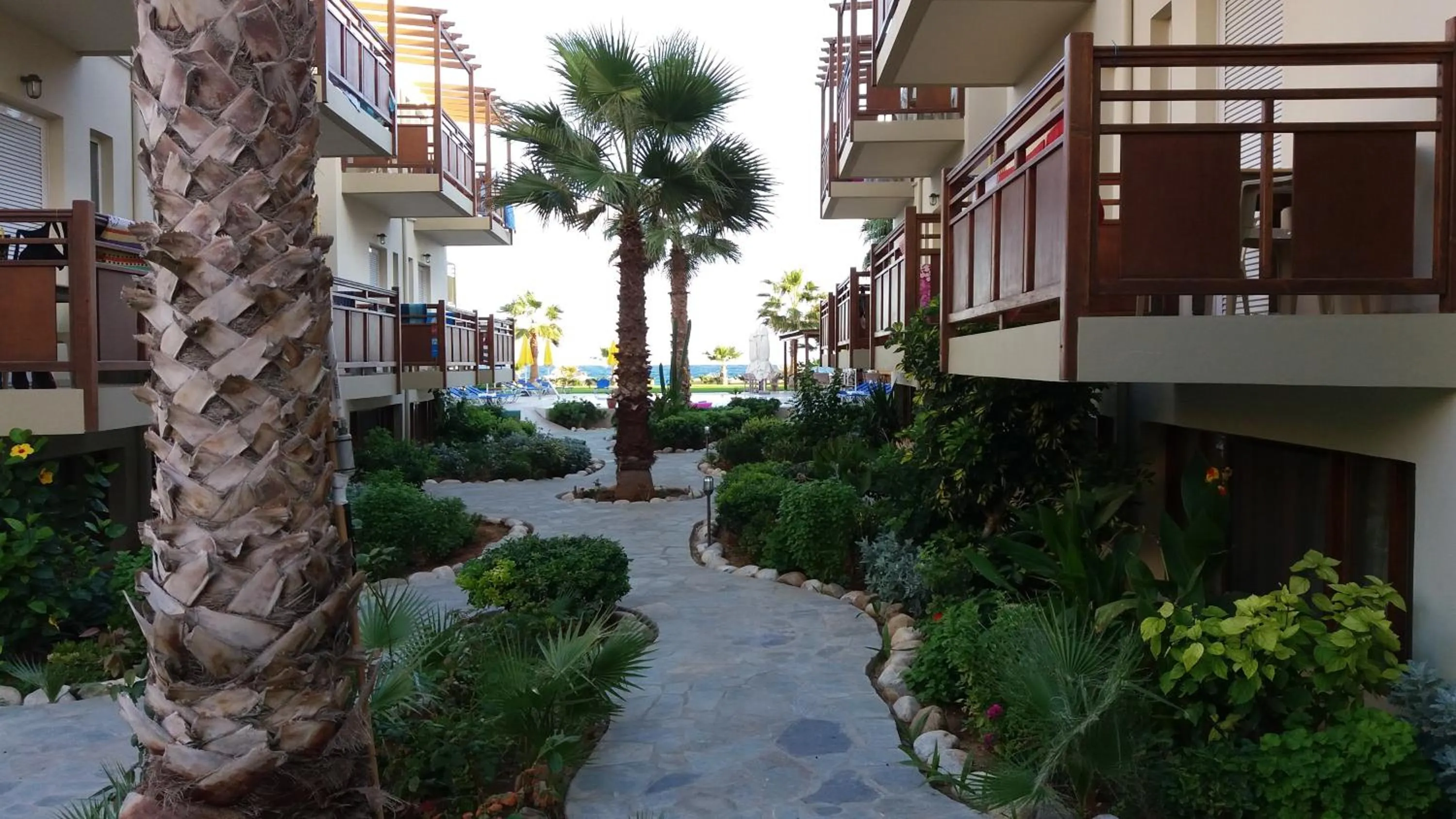 Area and facilities in Ilian Beach & Apartments