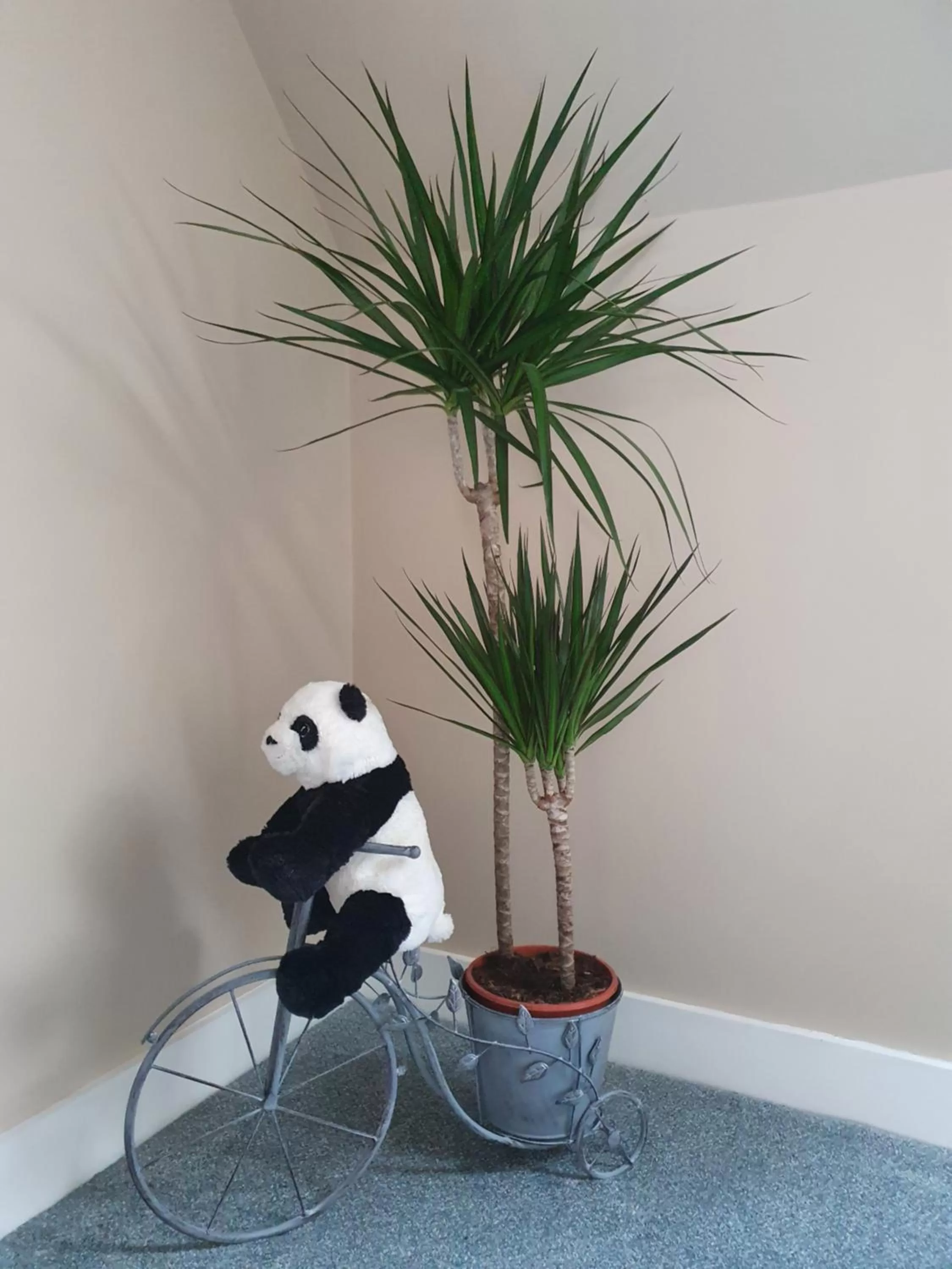 Decorative detail in Maple Cottage B&B