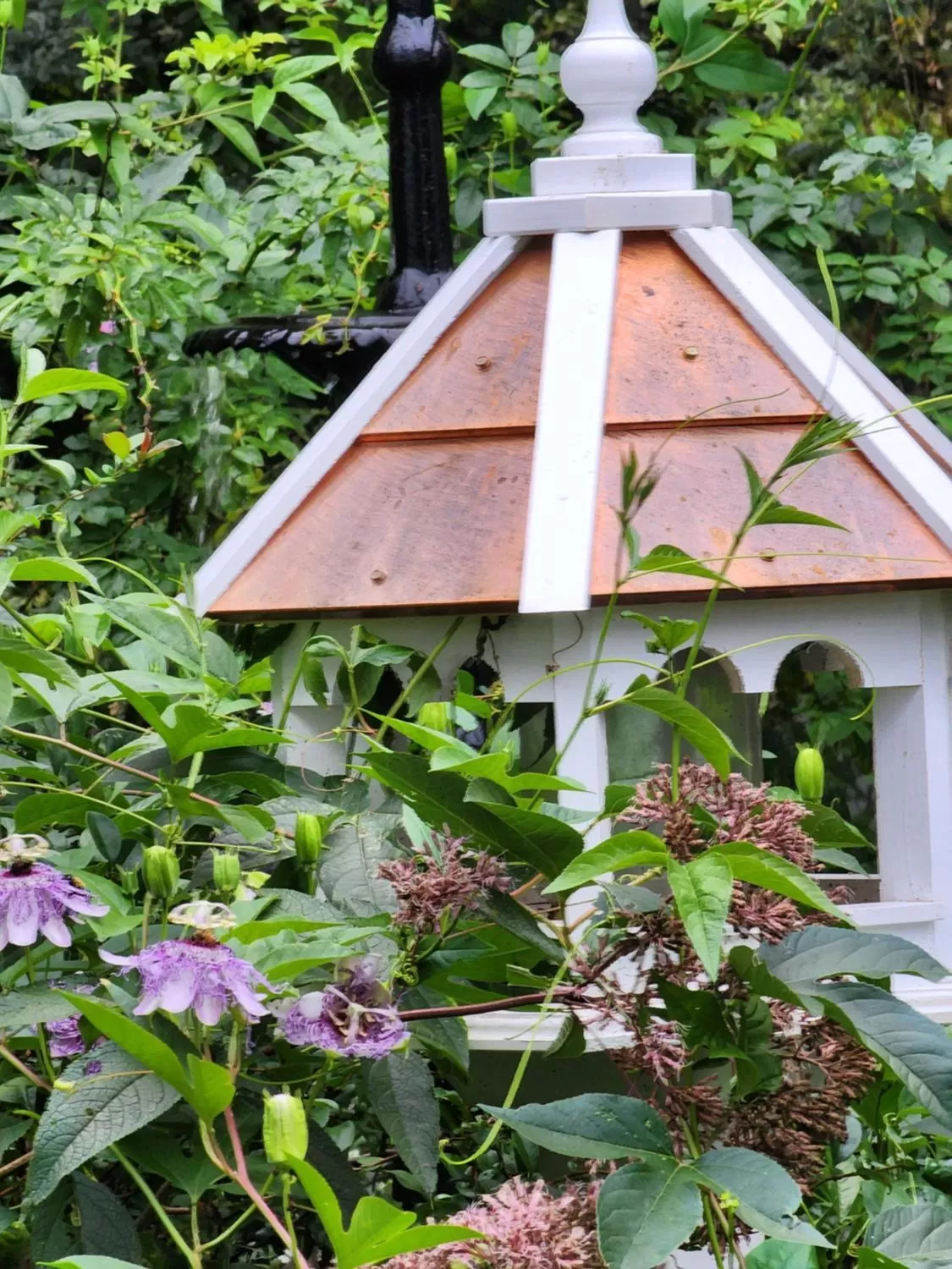 House of 1833 Bed and Breakfast