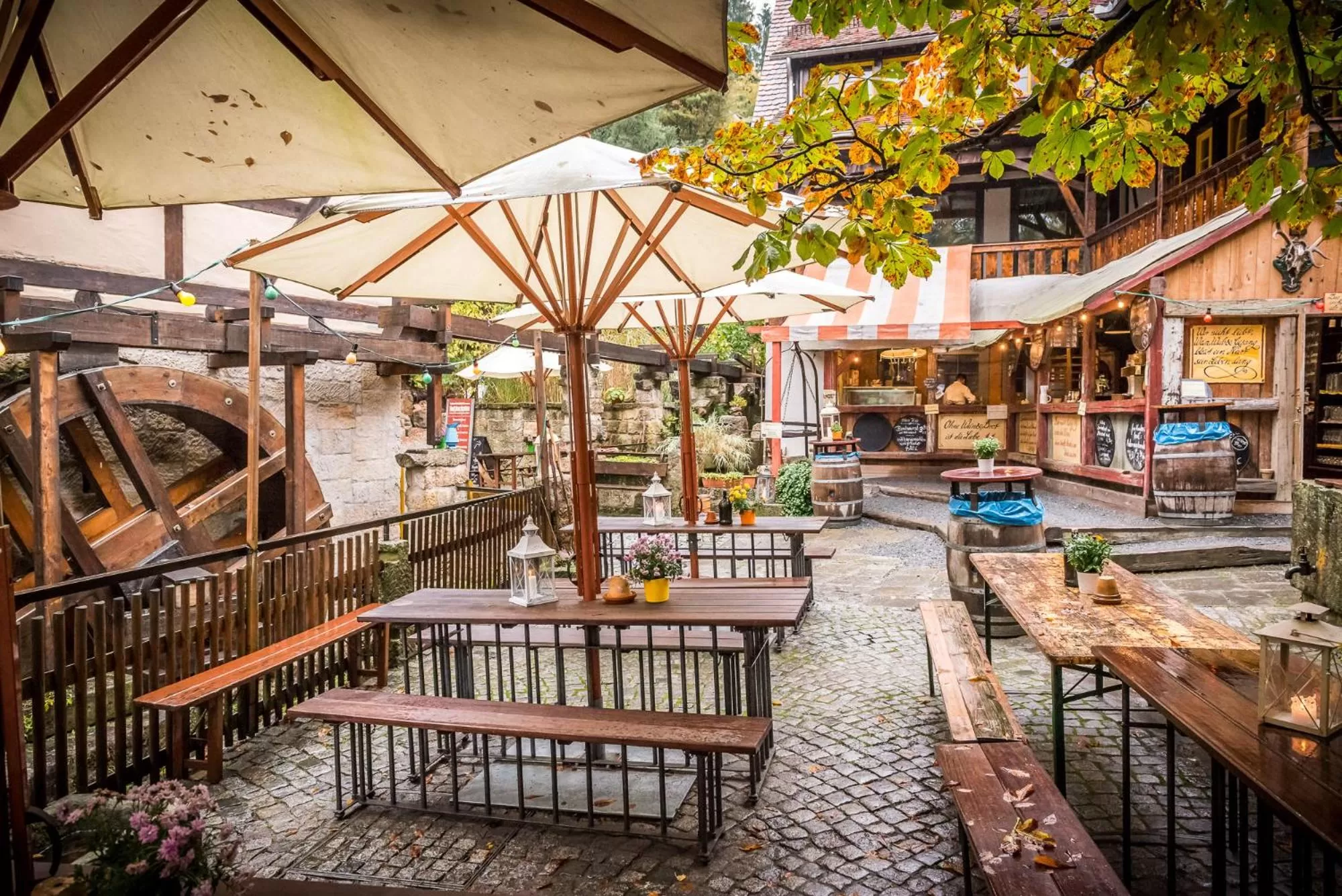 Restaurant/places to eat in Bio-Hotel Zur Mühle