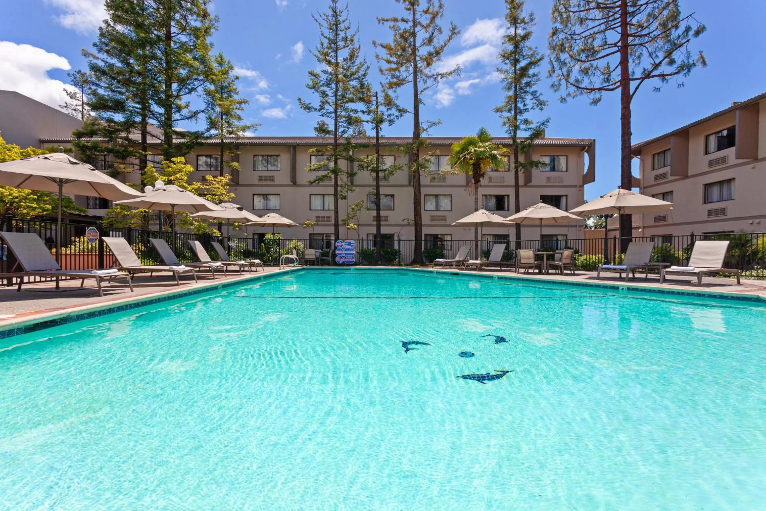 Swimming pool in Crowne Plaza Silicon Valley North - Union City by IHG
