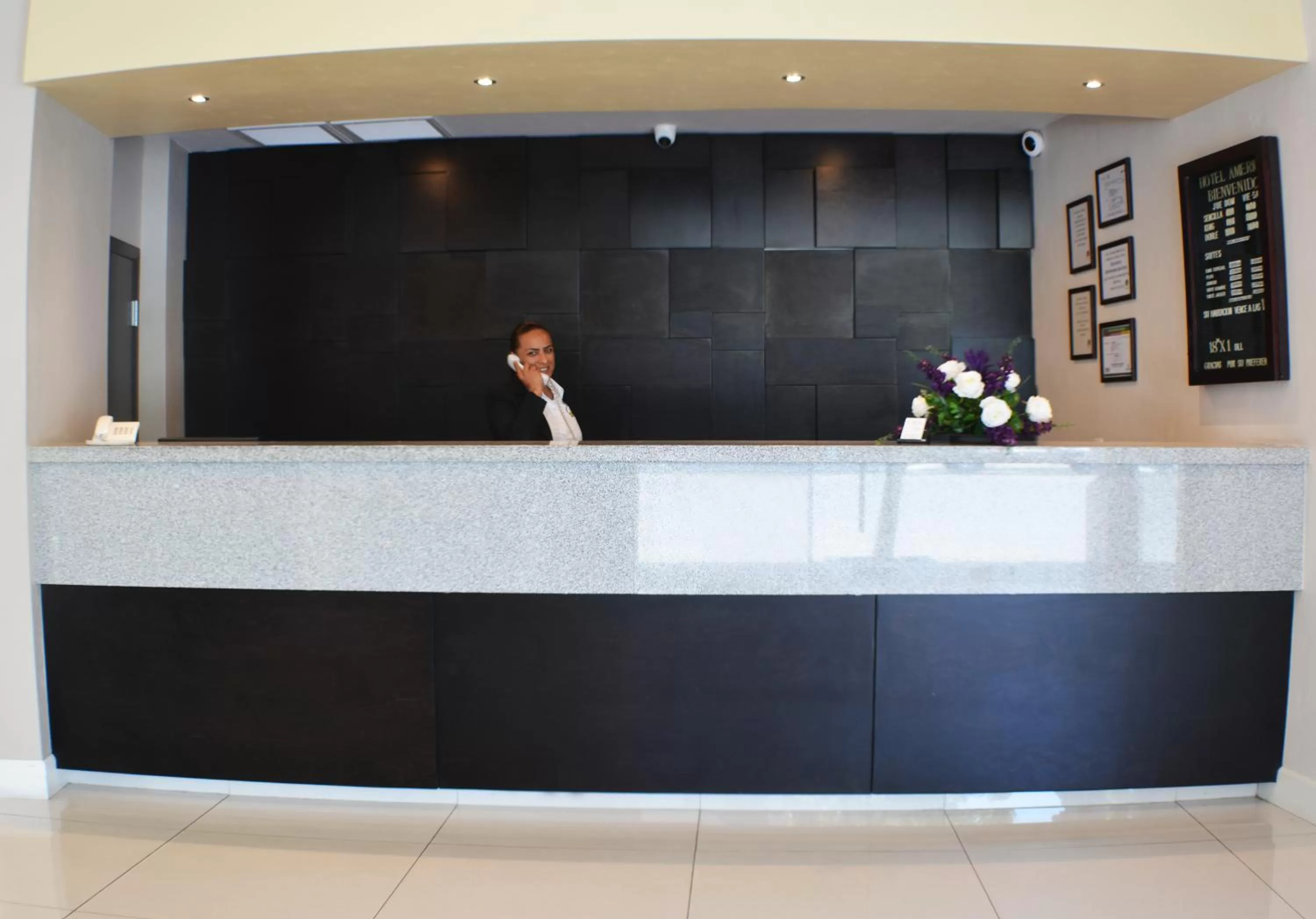 Lobby or reception, Lobby/Reception in Hotel America