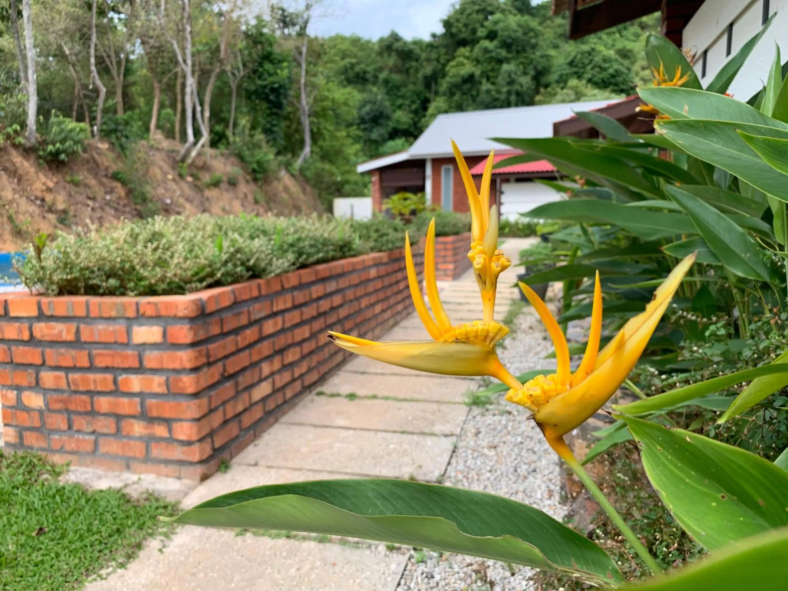 Hujung Kampung Resort